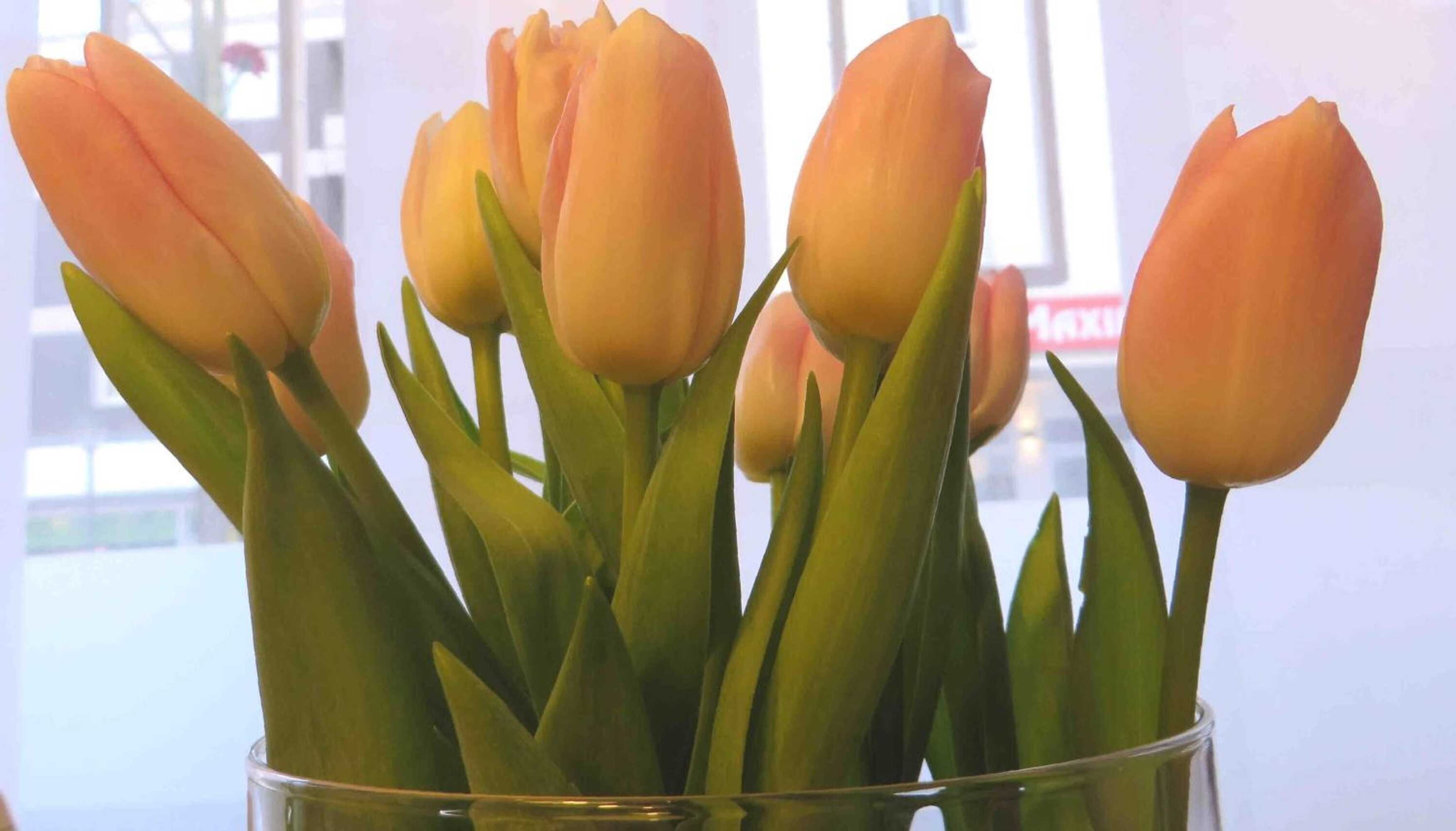 Gift card for Hotel Cityroom