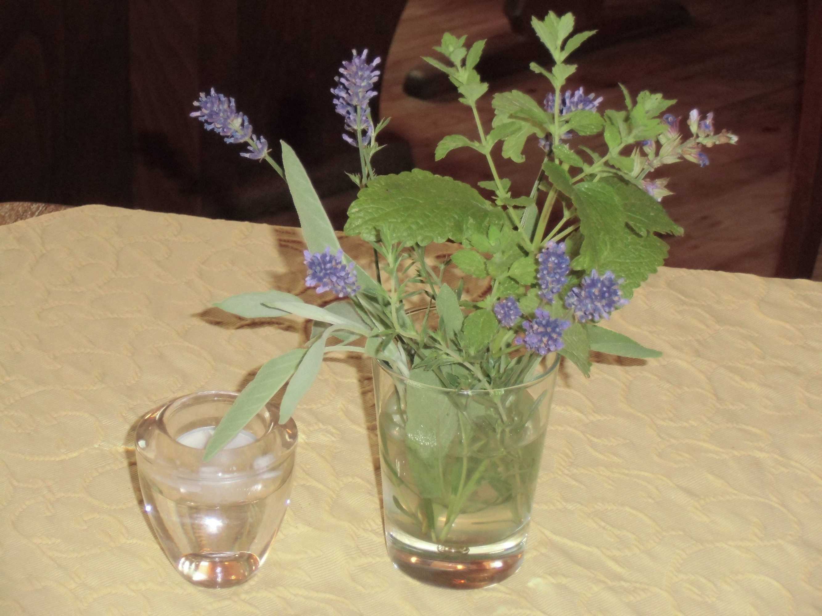 Gift card for Hotel Gasthof Zum Freigericht