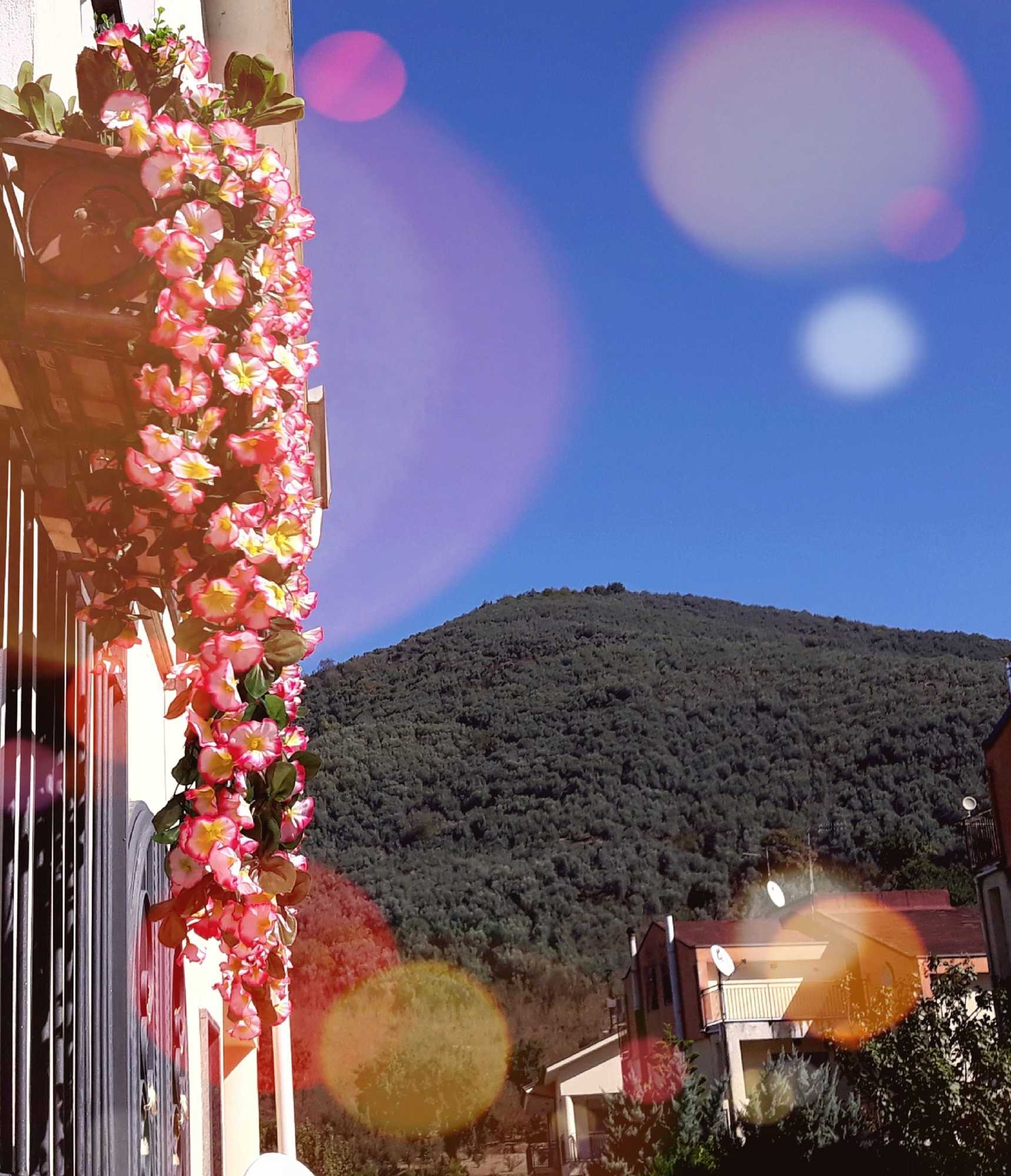 Gift card for B&b La Perla Dei Casali Gift card for B&b La Perla Dei Casali
