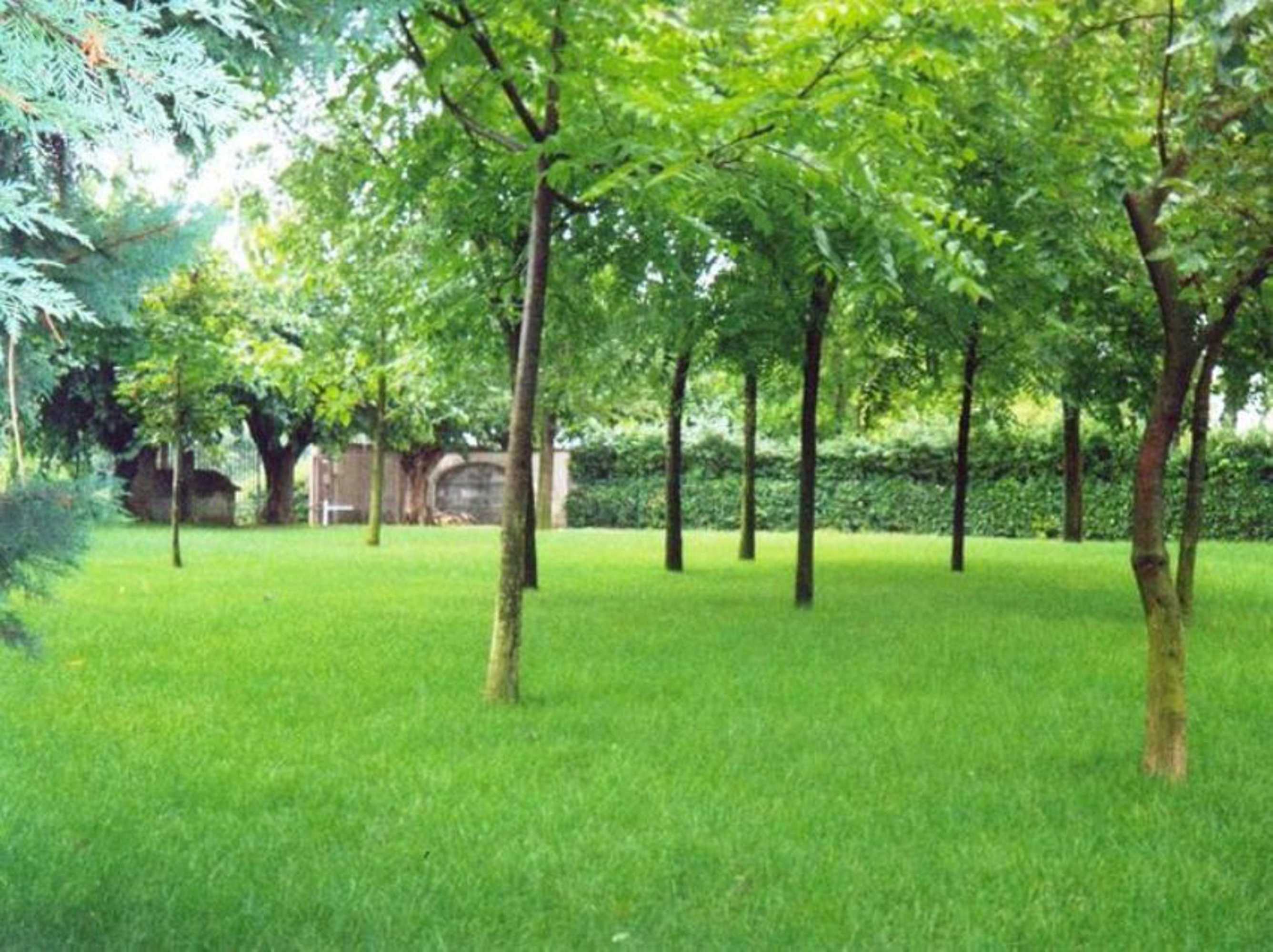 Gift card for Agriturismo Corte Trincerone Gift card for Agriturismo Corte Trincerone