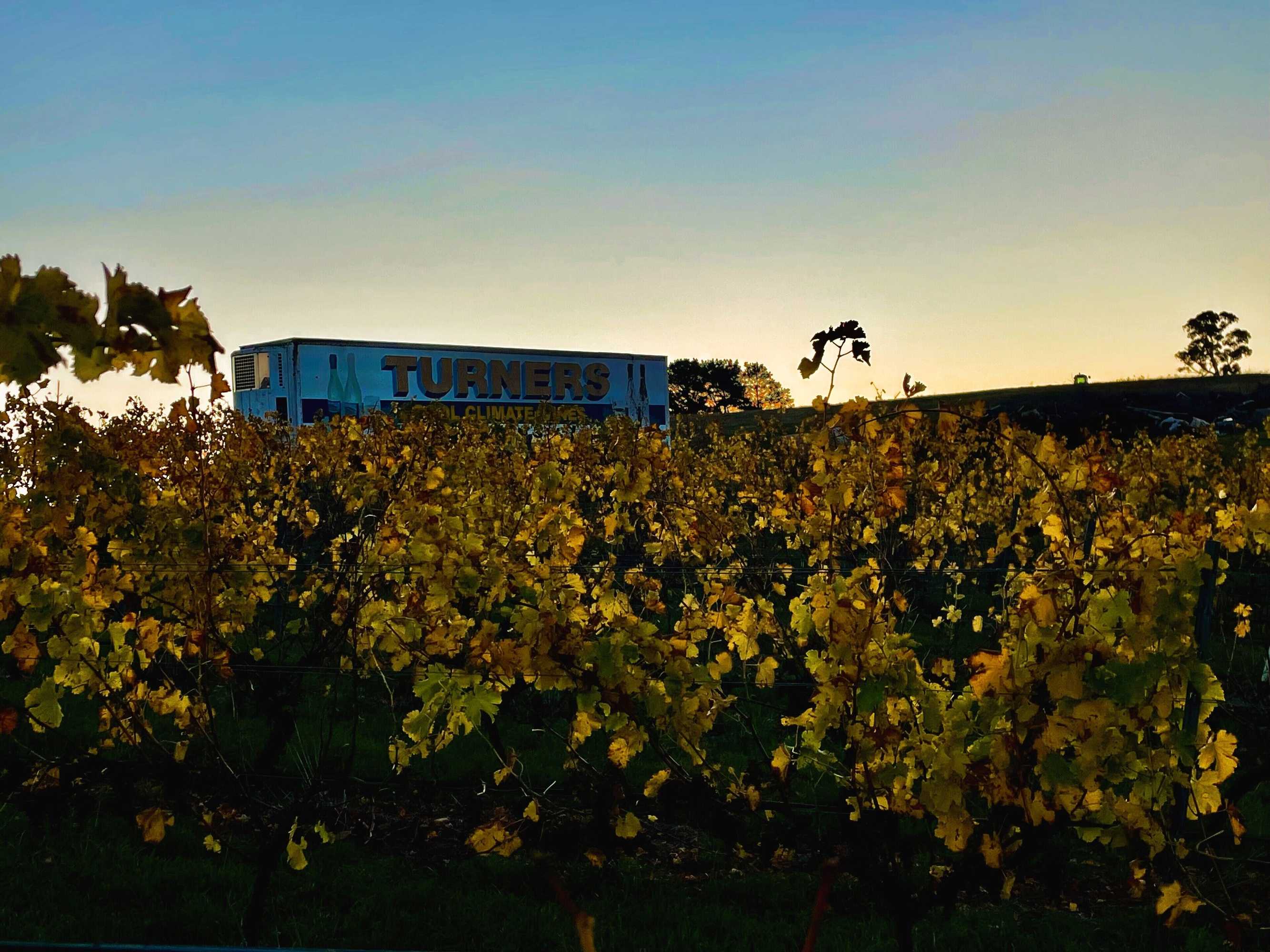 Gift card for Turners Vineyard Gift card for Turners Vineyard