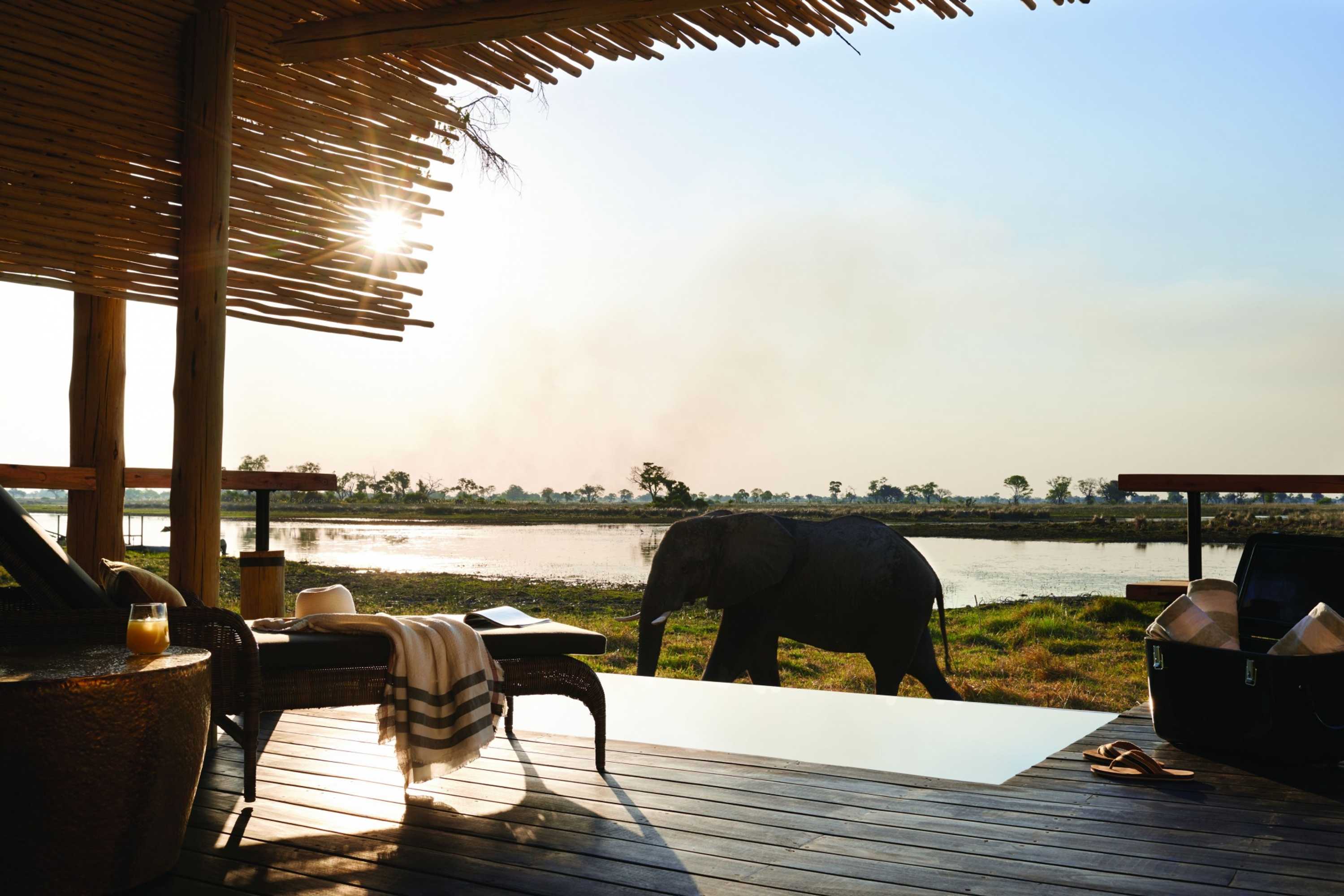 Gift card for Belmond Safaris
