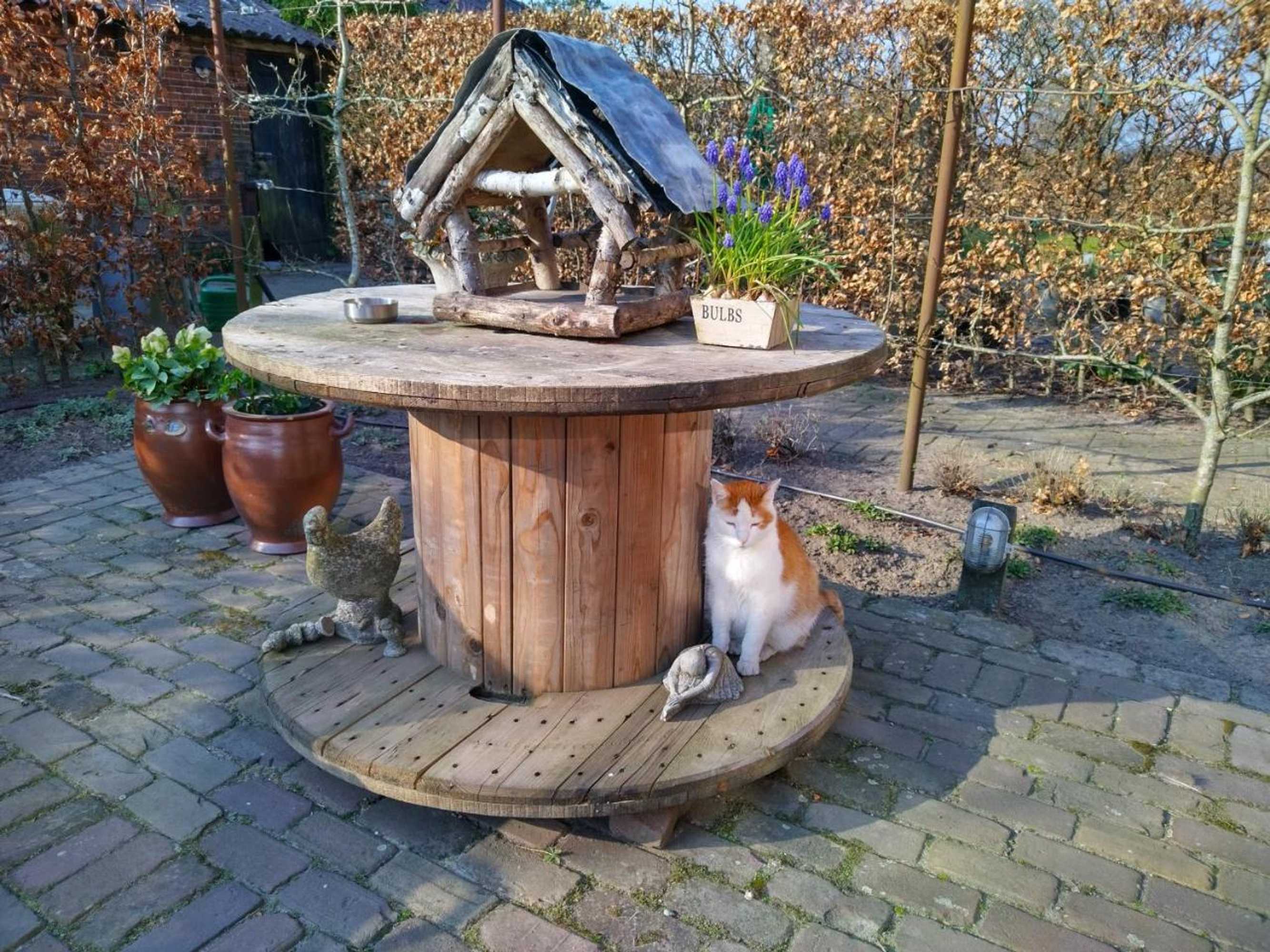 Gift card for Bed op de Reth