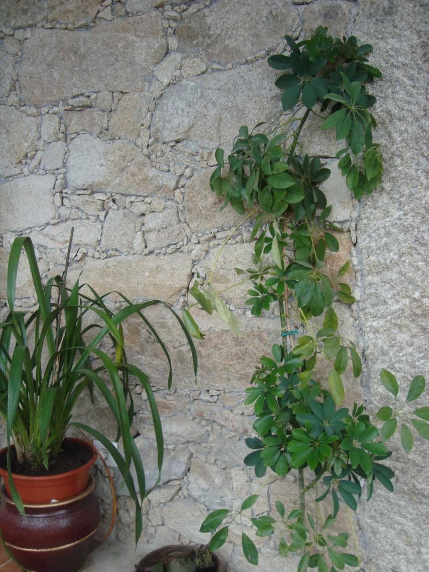 Gift card for Casa Villar Mayor