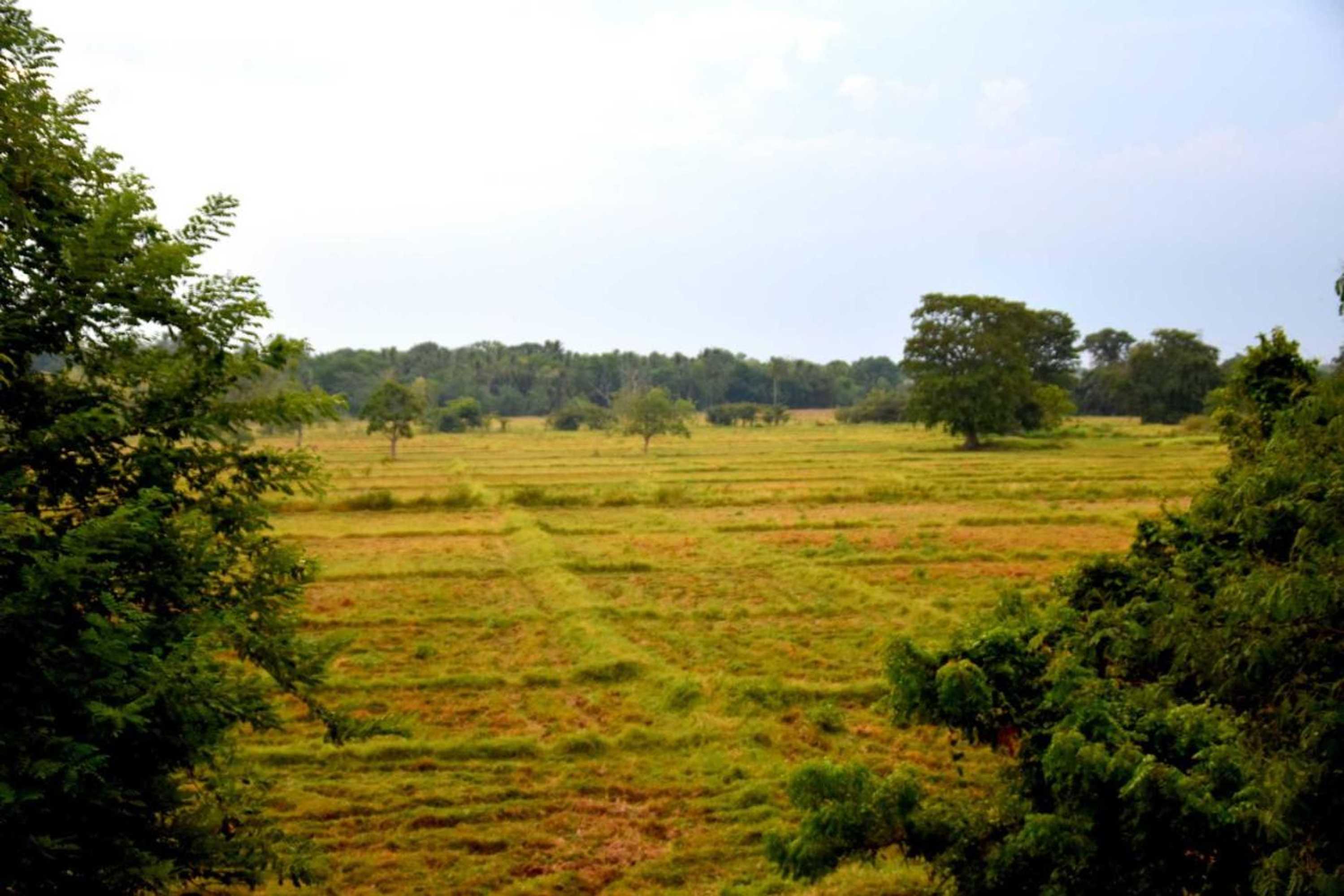 Gift card for Ranweli Resort Anuradhapura Gift card for Ranweli Resort Anuradhapura