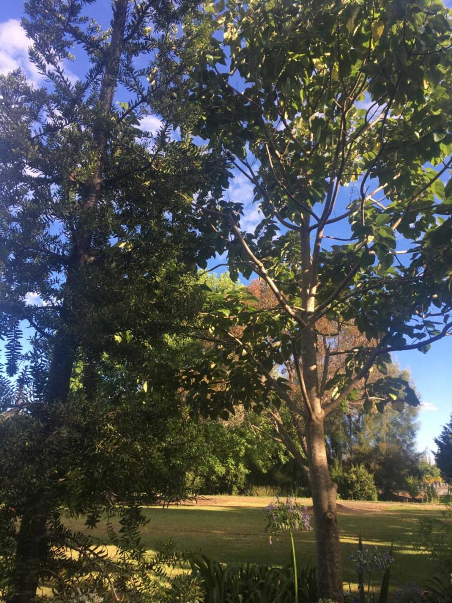 Gift card for Kerikeri Garden Homestead