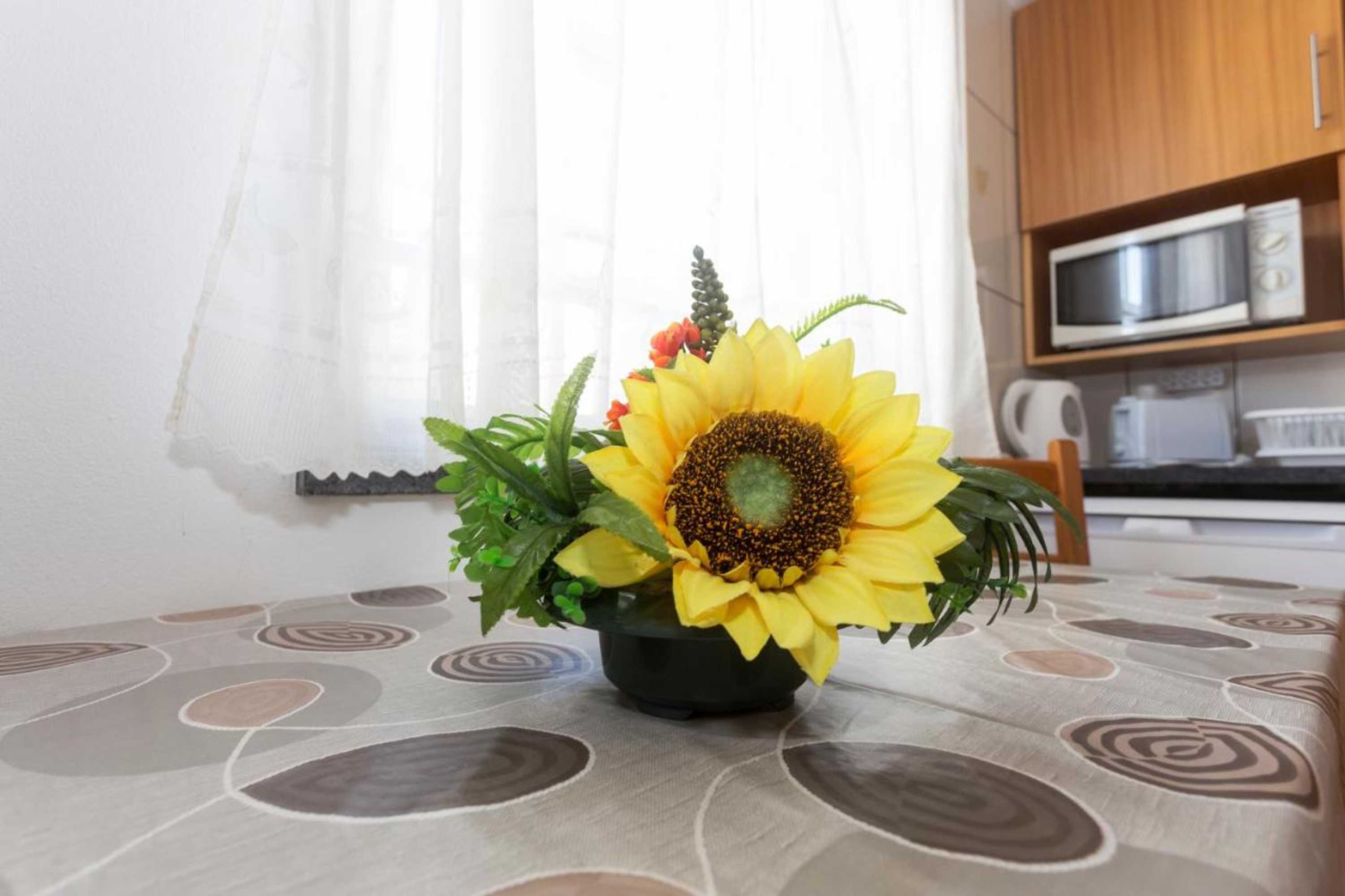 Gift card for Apartamentos Oliveira