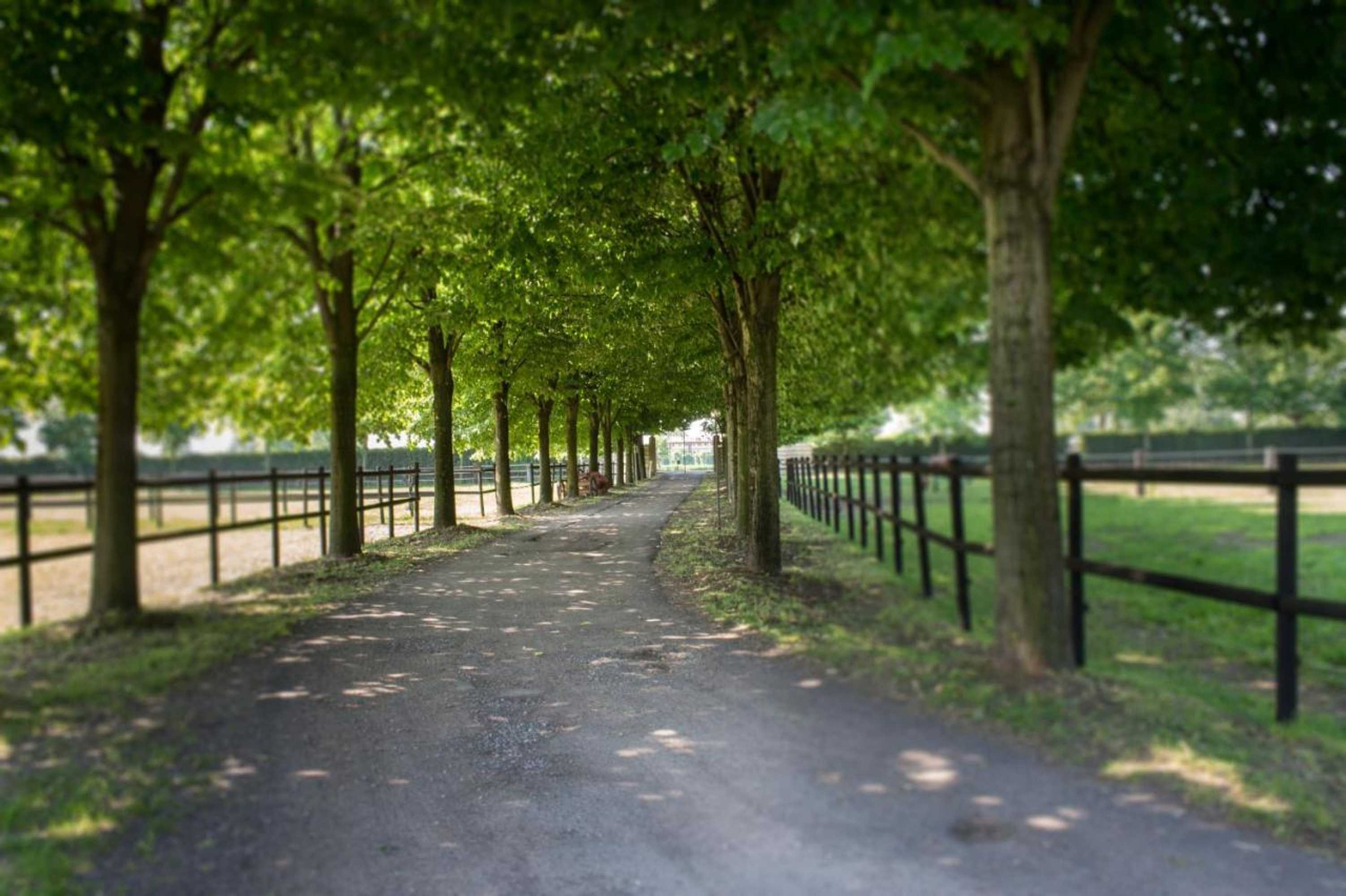 Gift card for San Giacomo Horses & Agriturismo Gift card for San Giacomo Horses & Agriturismo