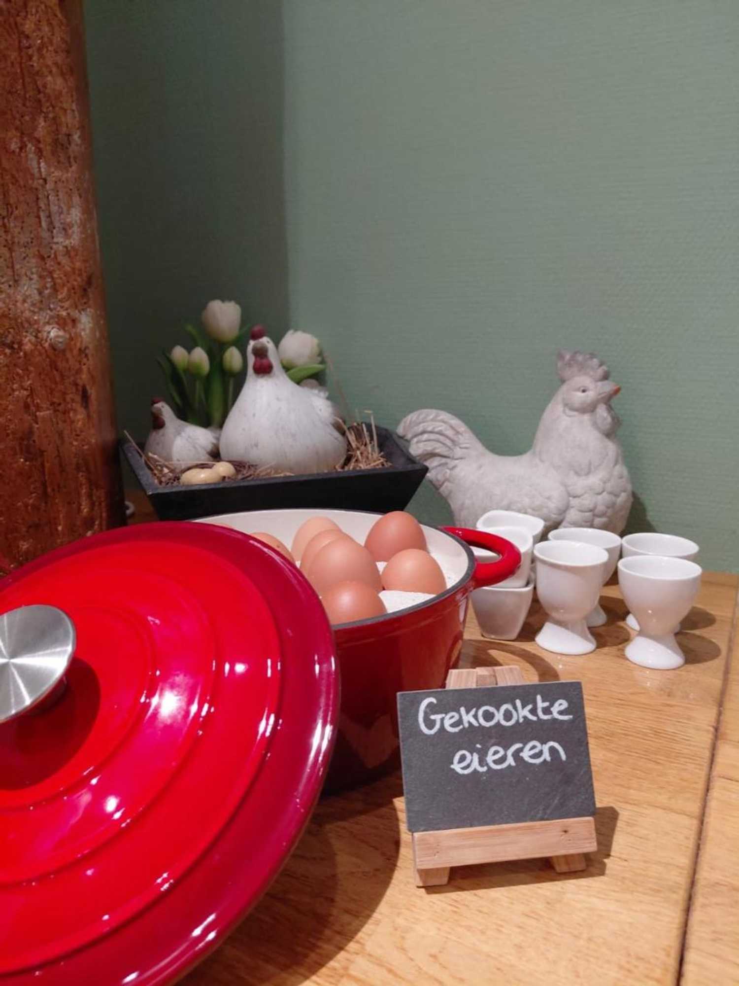 Gift card for Hotel B&b Hoeve de Vredenhof