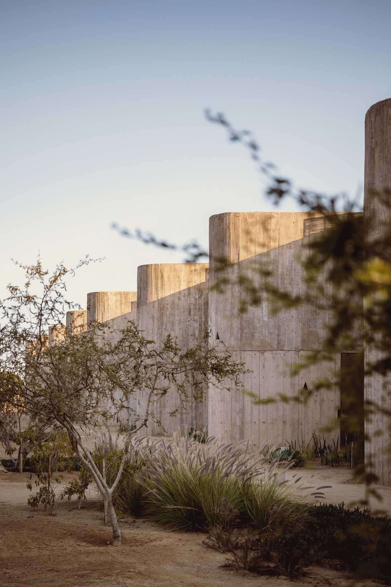 Gift card for Paradero Todos Santos - Exclusive Experiences Gift card for Paradero Todos Santos - Exclusive Experiences