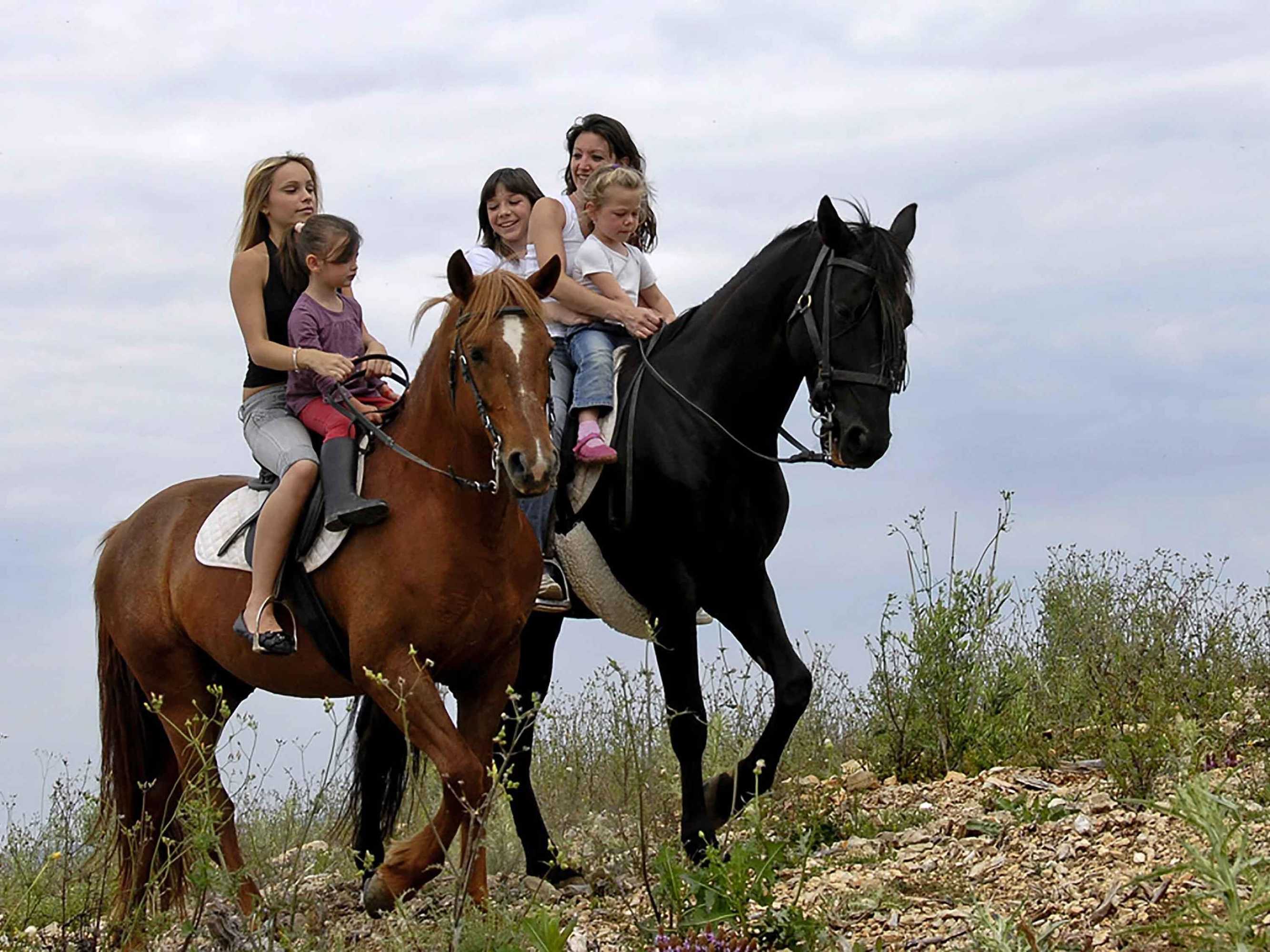 Gift card for Mercure Exeter Southgate Hotel Gift card for Mercure Exeter Southgate Hotel