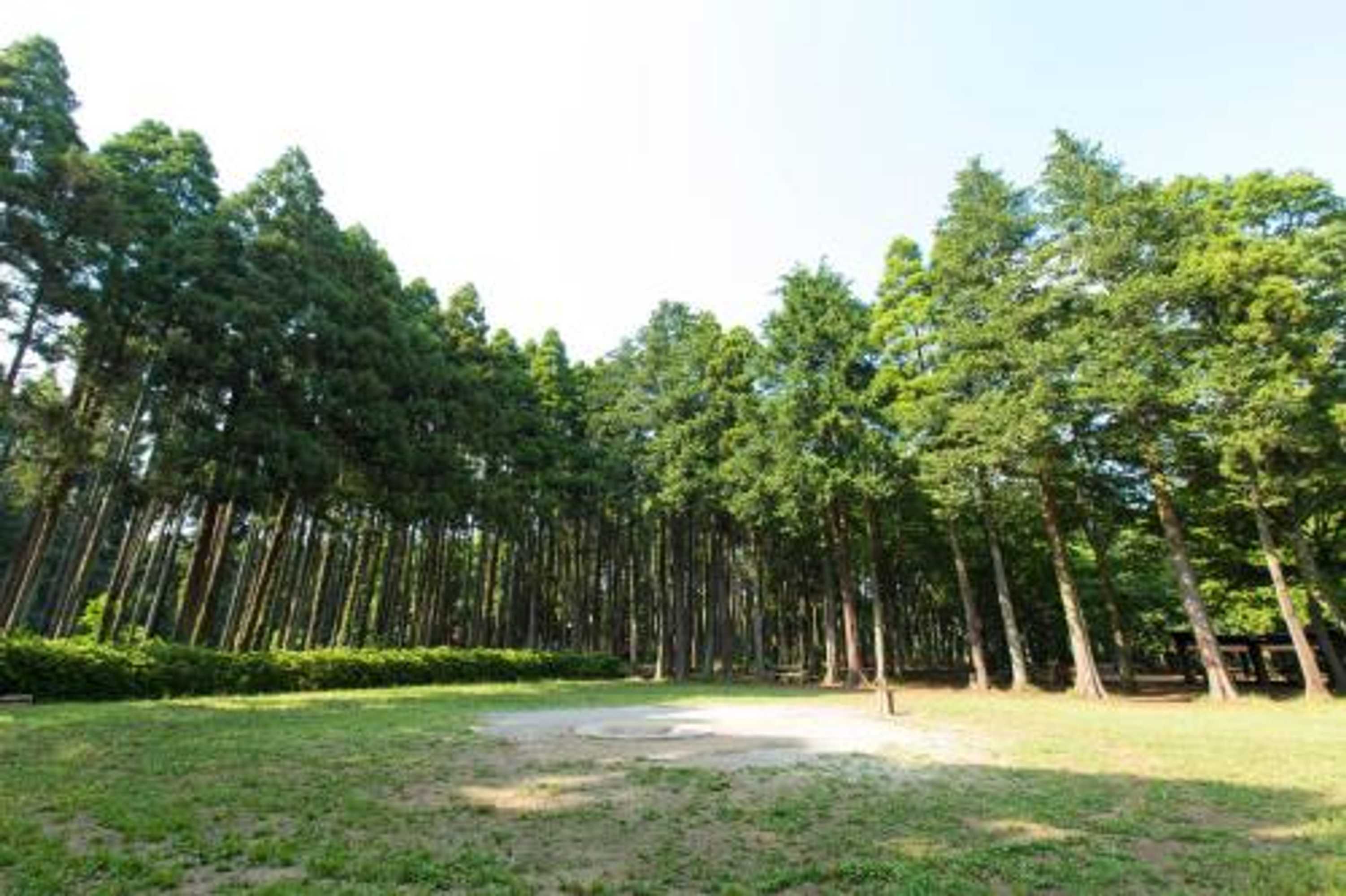 Gift card for Showa Forest Village Gift card for Showa Forest Village