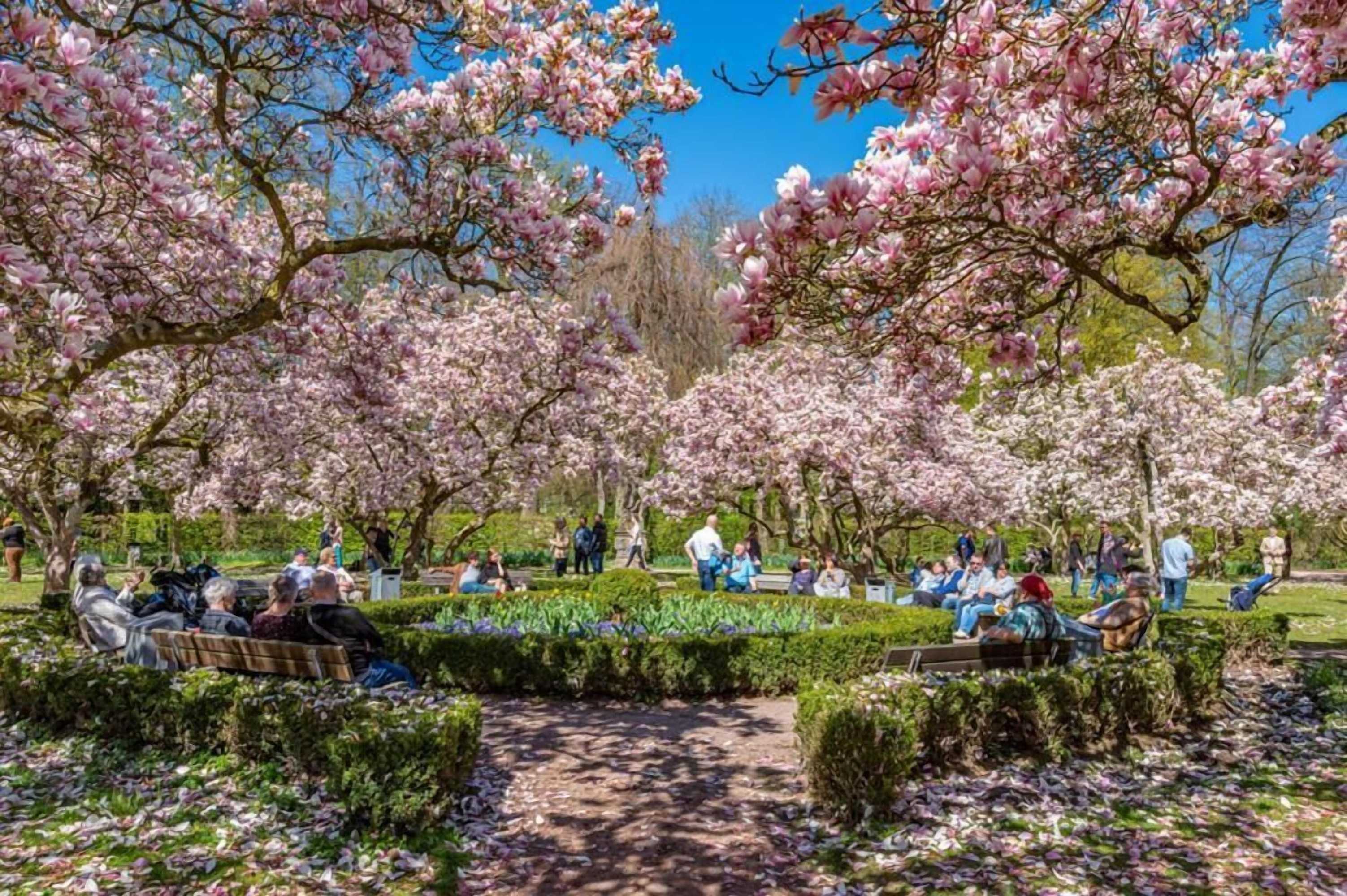 Gift card for Zum Goldenen Ochsen