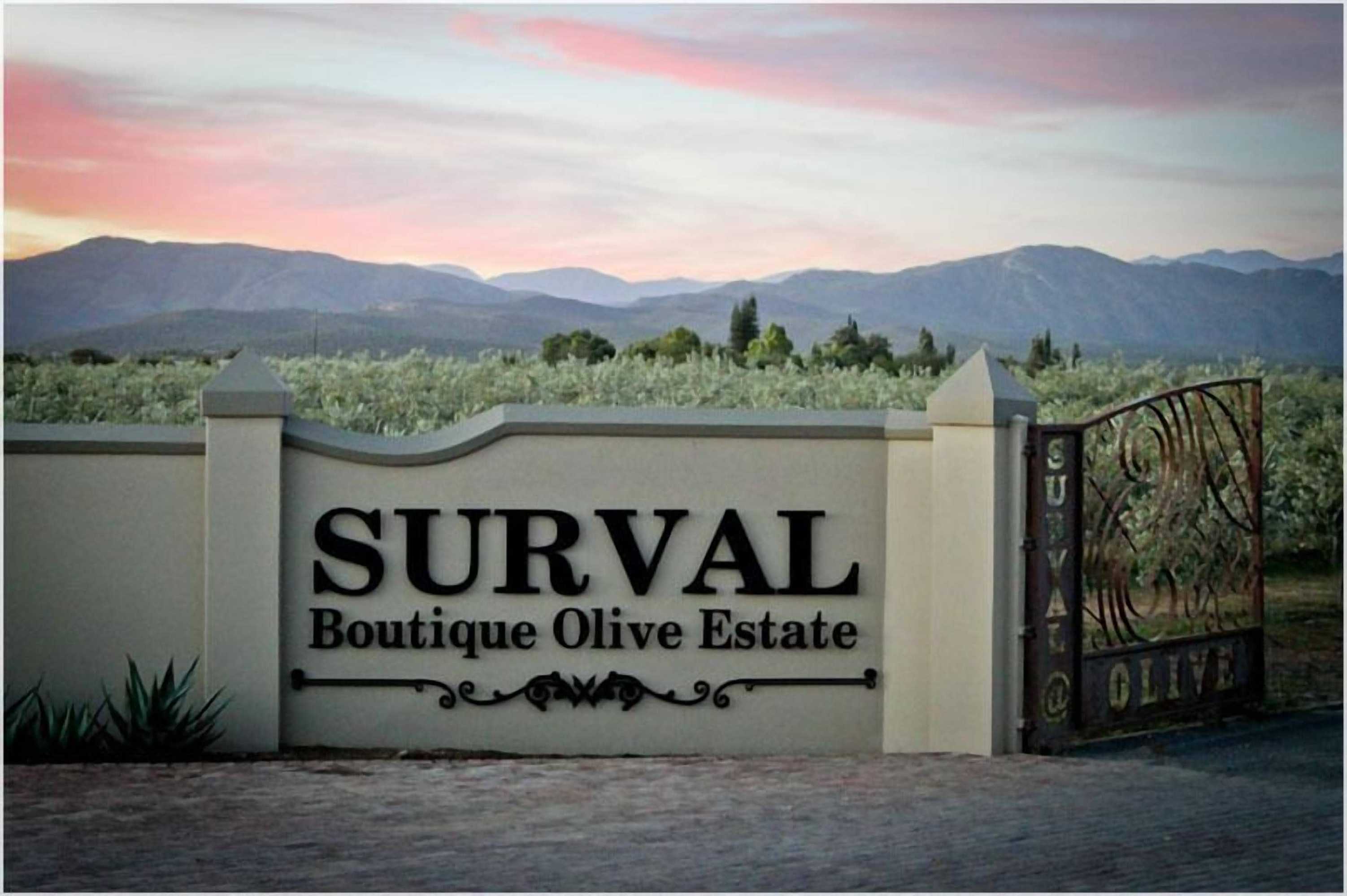 Gift card for Surval Boutique Olive Estate Gift card for Surval Boutique Olive Estate