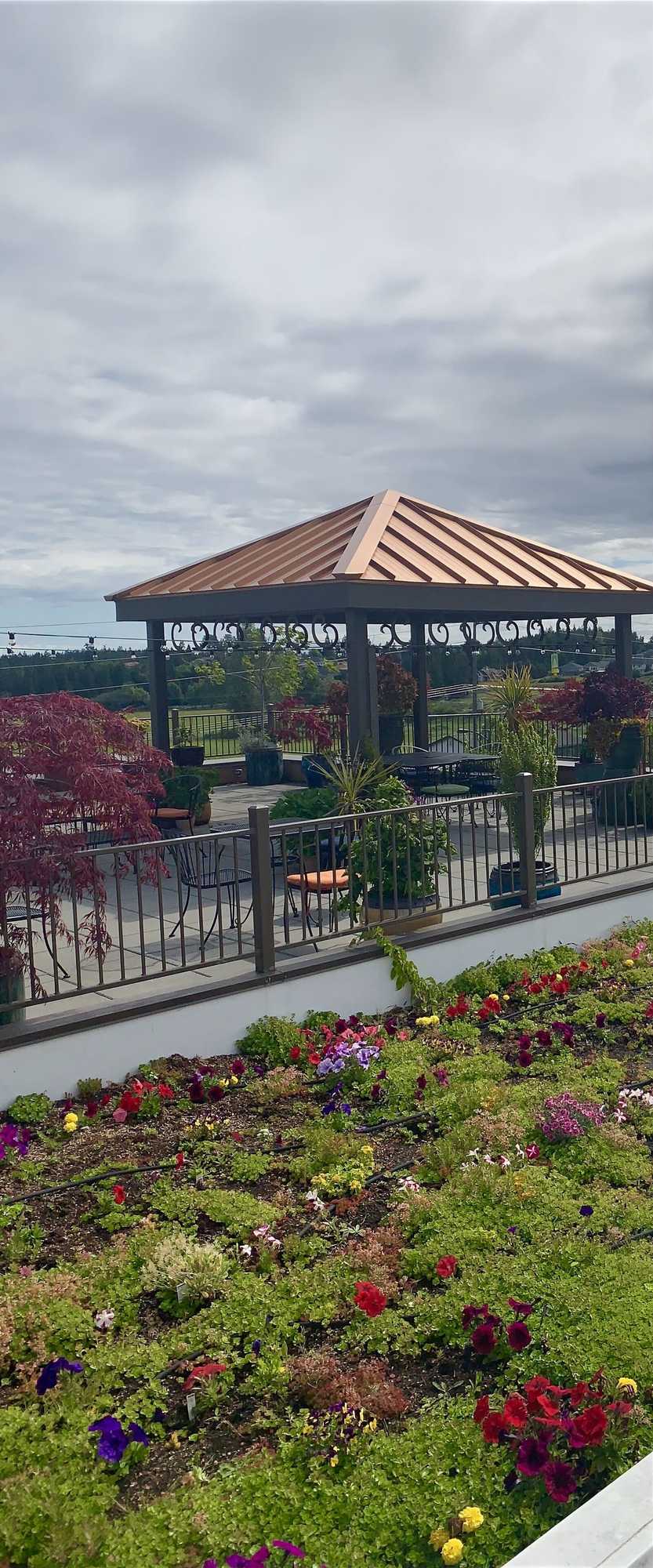 Gift card for Holiday Inn Express Hotel & Suites North Sequim by Ihg Gift card for Holiday Inn Express Hotel & Suites North Sequim by Ihg