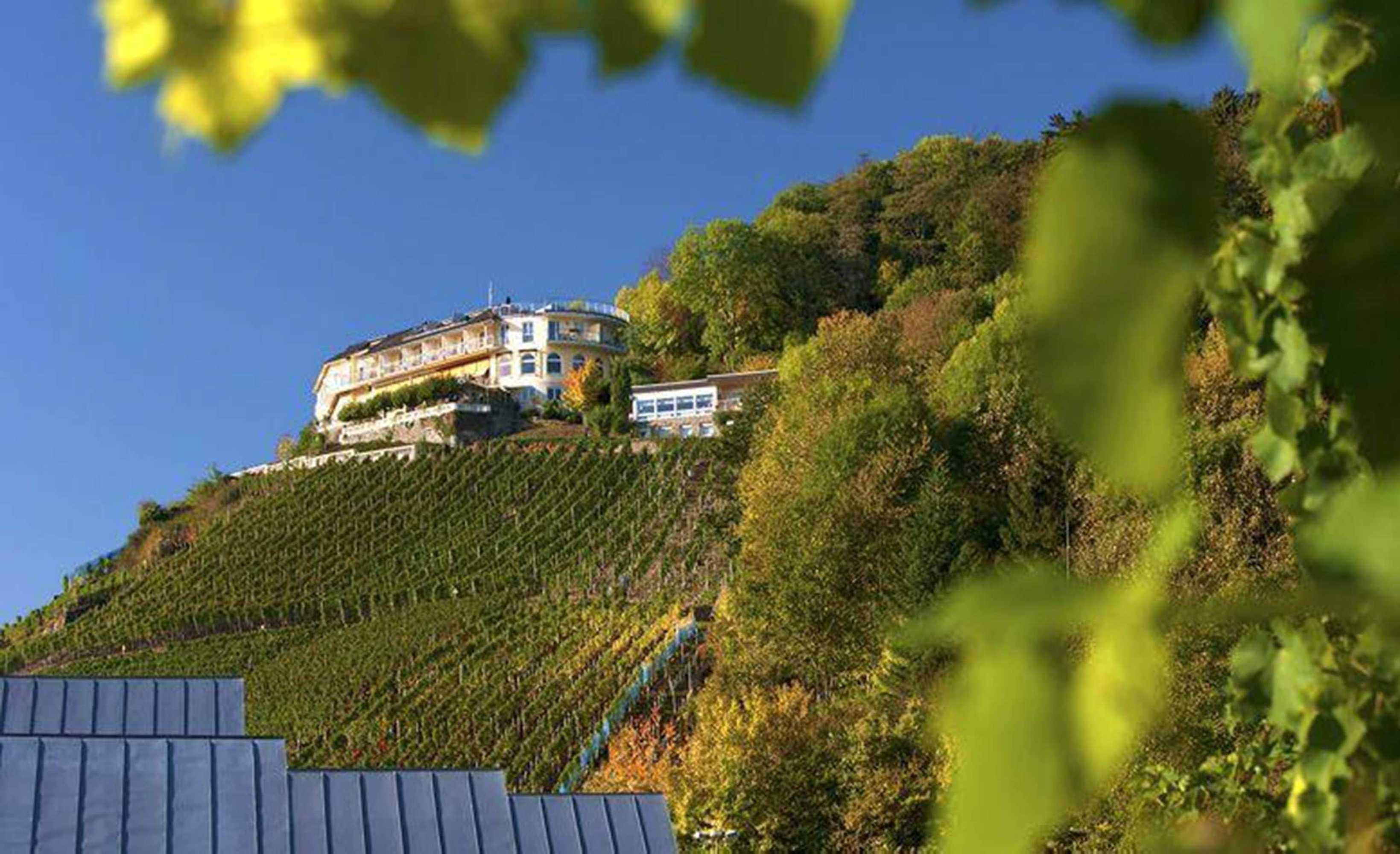 Gift card for Restaurant & Hotel Hohenzollern Gift card for Restaurant & Hotel Hohenzollern