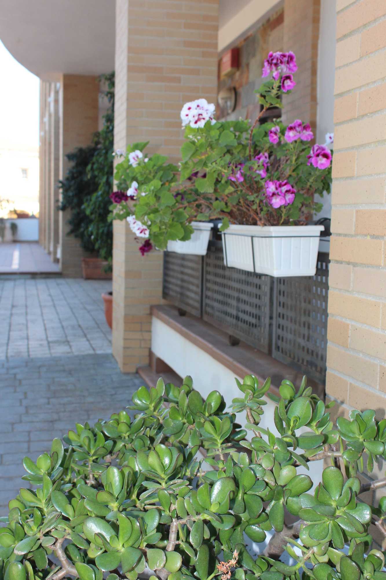 Gift card for Hotel Marisma Sancti Petri Gift card for Hotel Marisma Sancti Petri