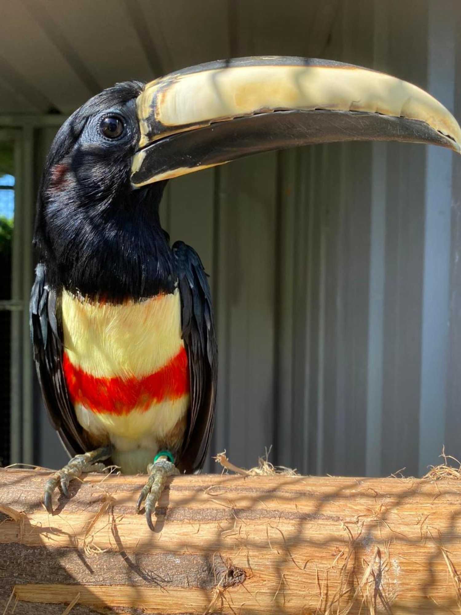 Gift card for Quinta do Lordelo Turismo Rural Gift card for Quinta do Lordelo Turismo Rural