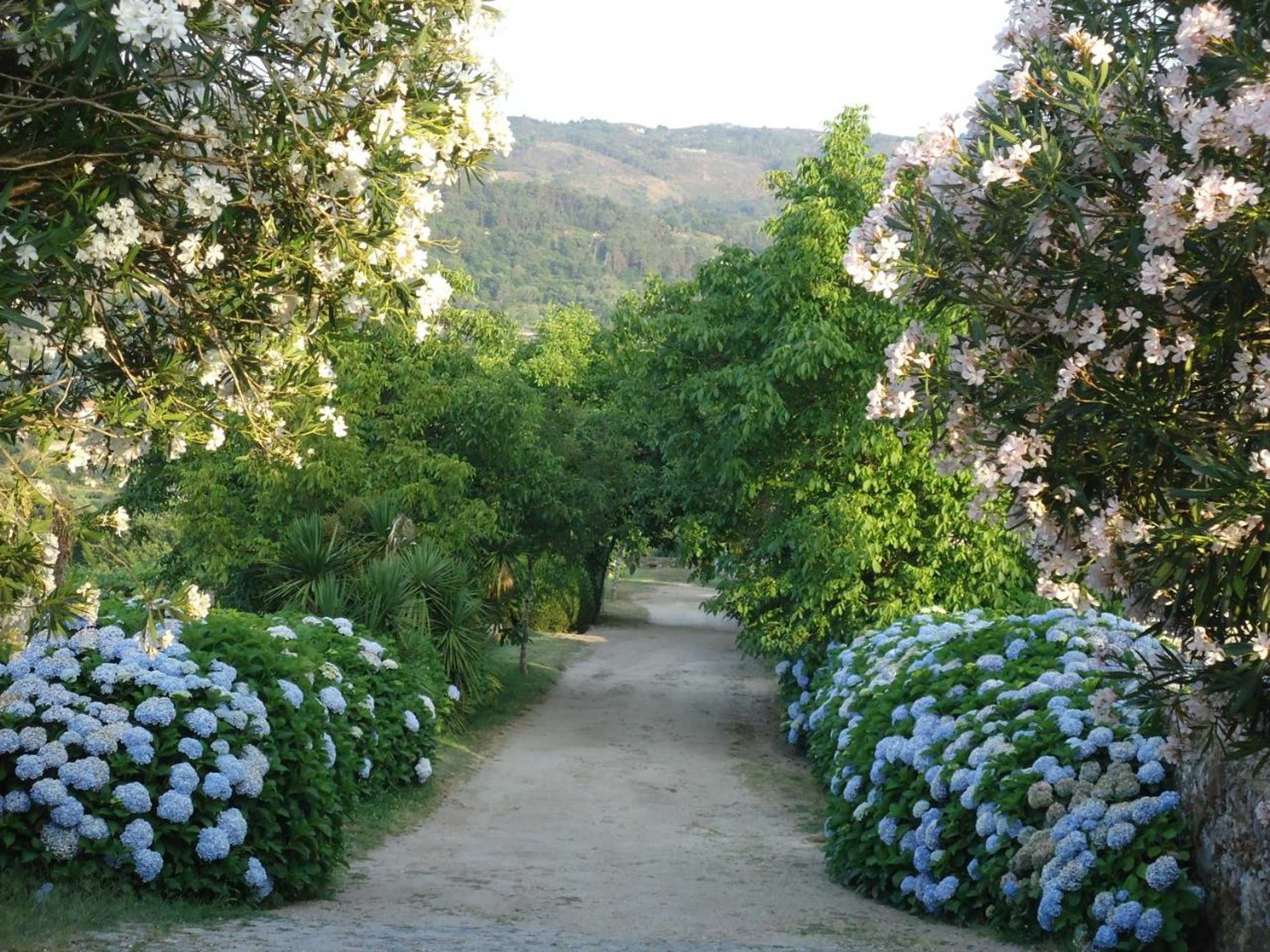 Gift card for Quinta de Luou