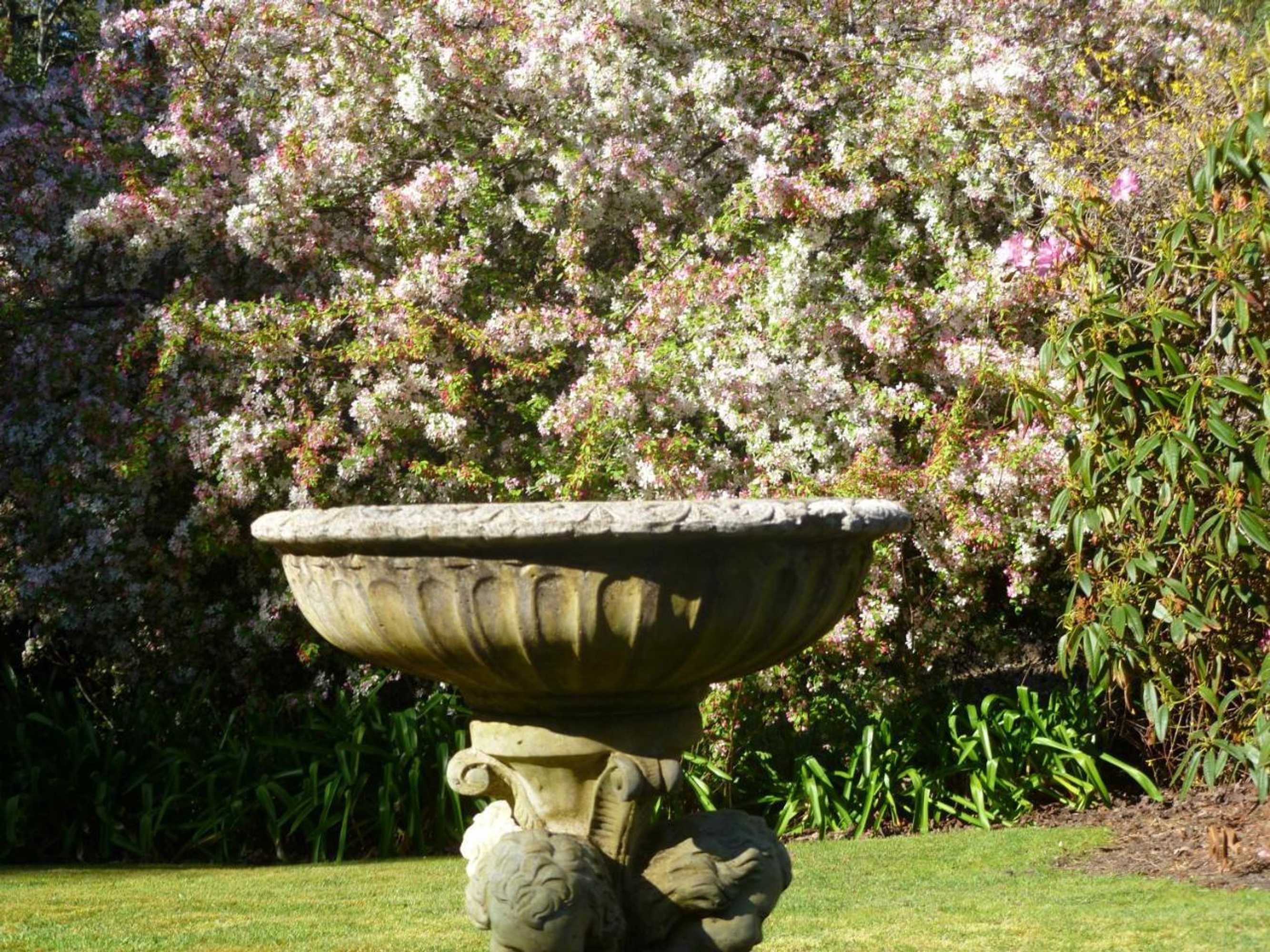 Gift card for Donalea Bed & Breakfast