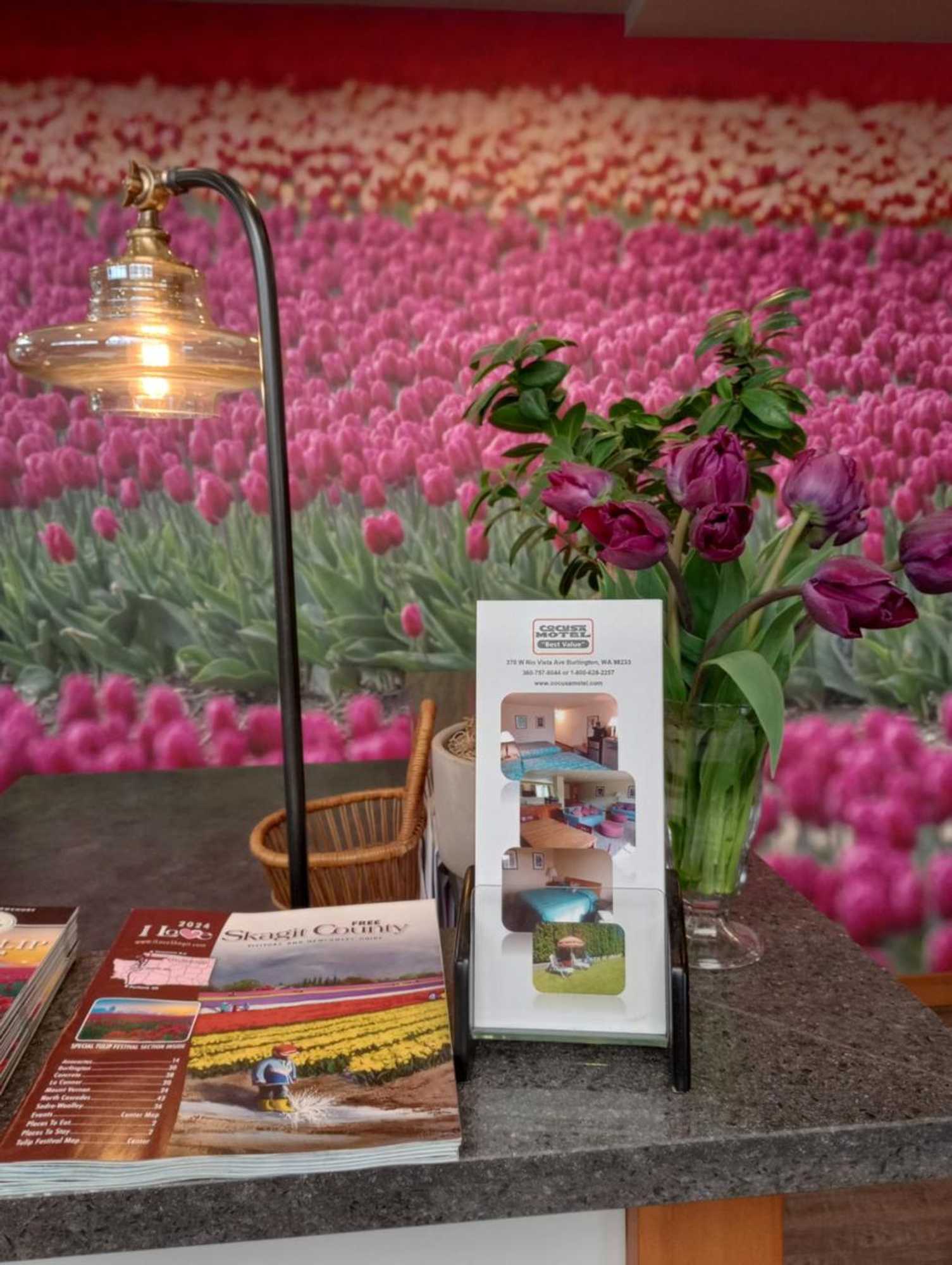 Gift card for Cocusa Motel