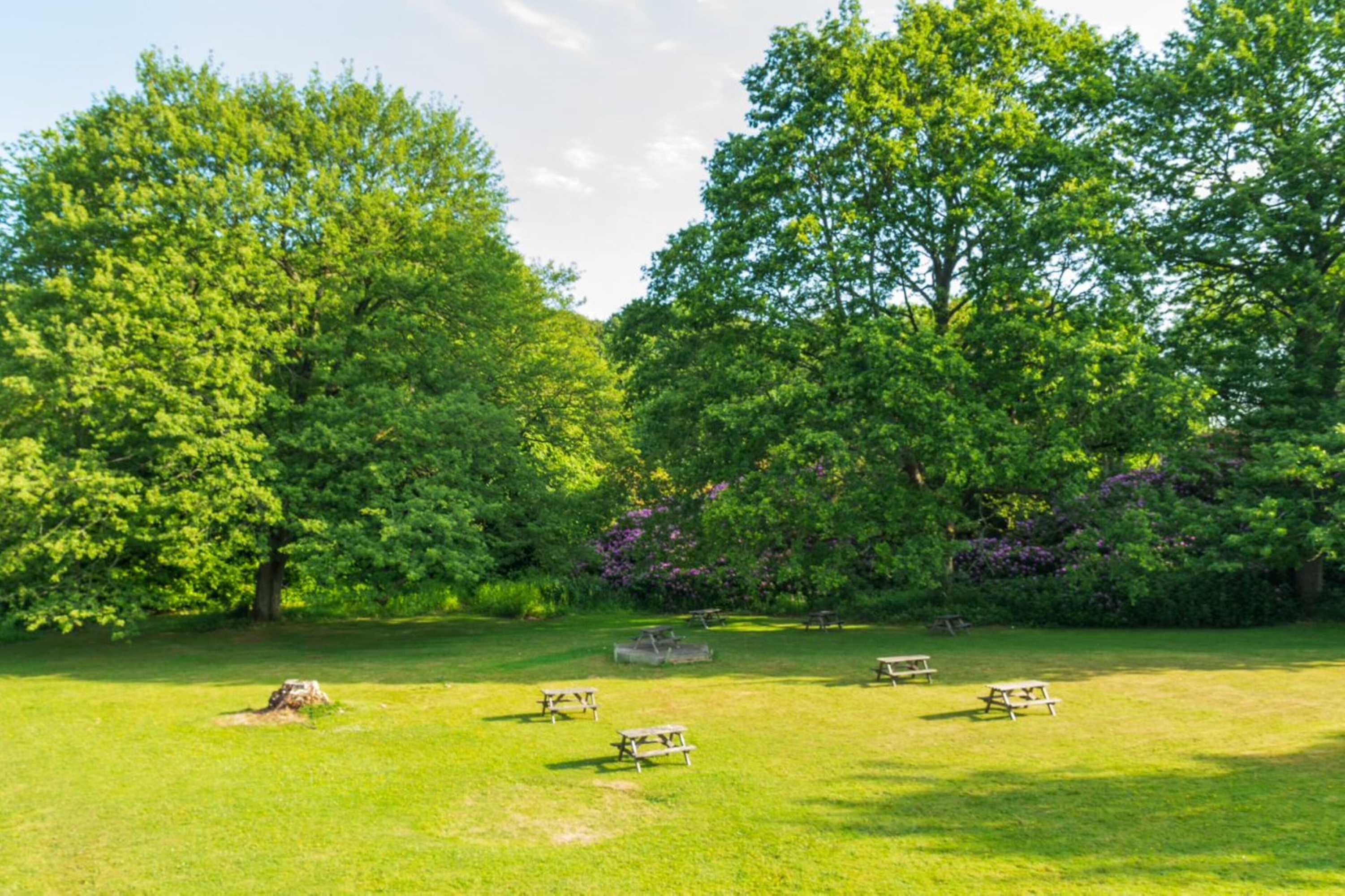 Gift card for Adamton Country House Hotel Gift card for Adamton Country House Hotel