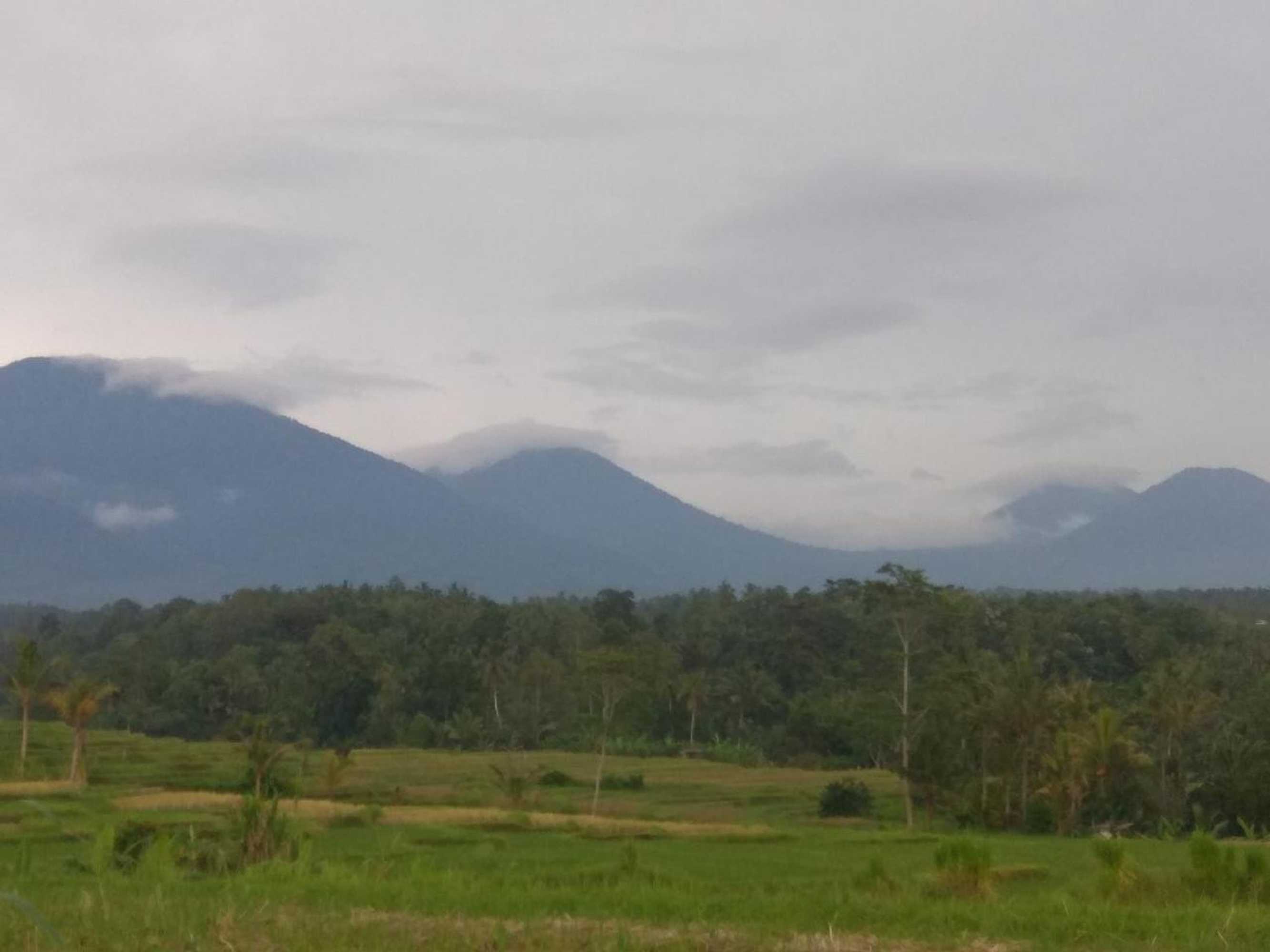 Gift card for Bali Mountain Forest Cabin