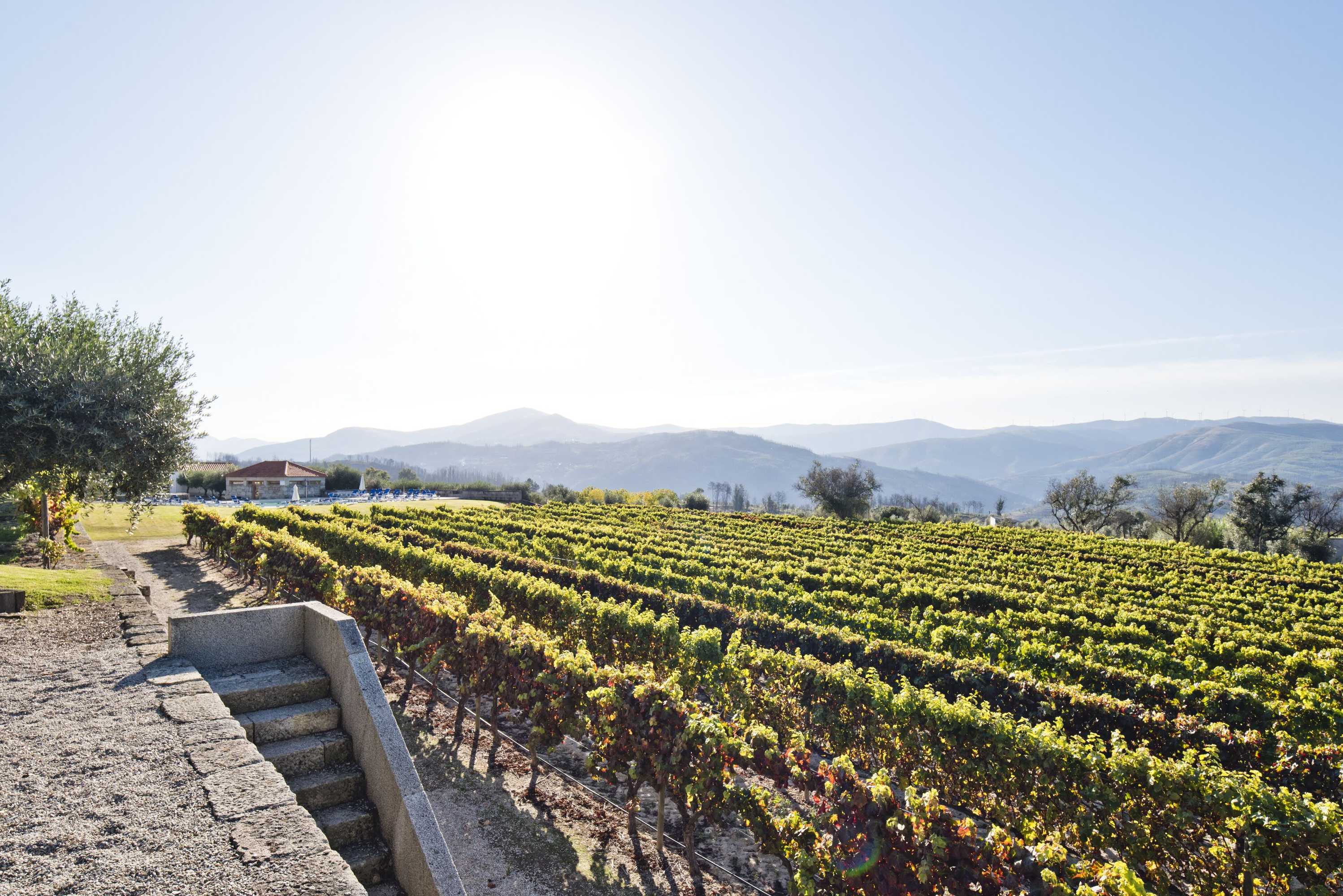 Gift card for Lam Hotel Convento do Desagravo Gift card for Lam Hotel Convento do Desagravo