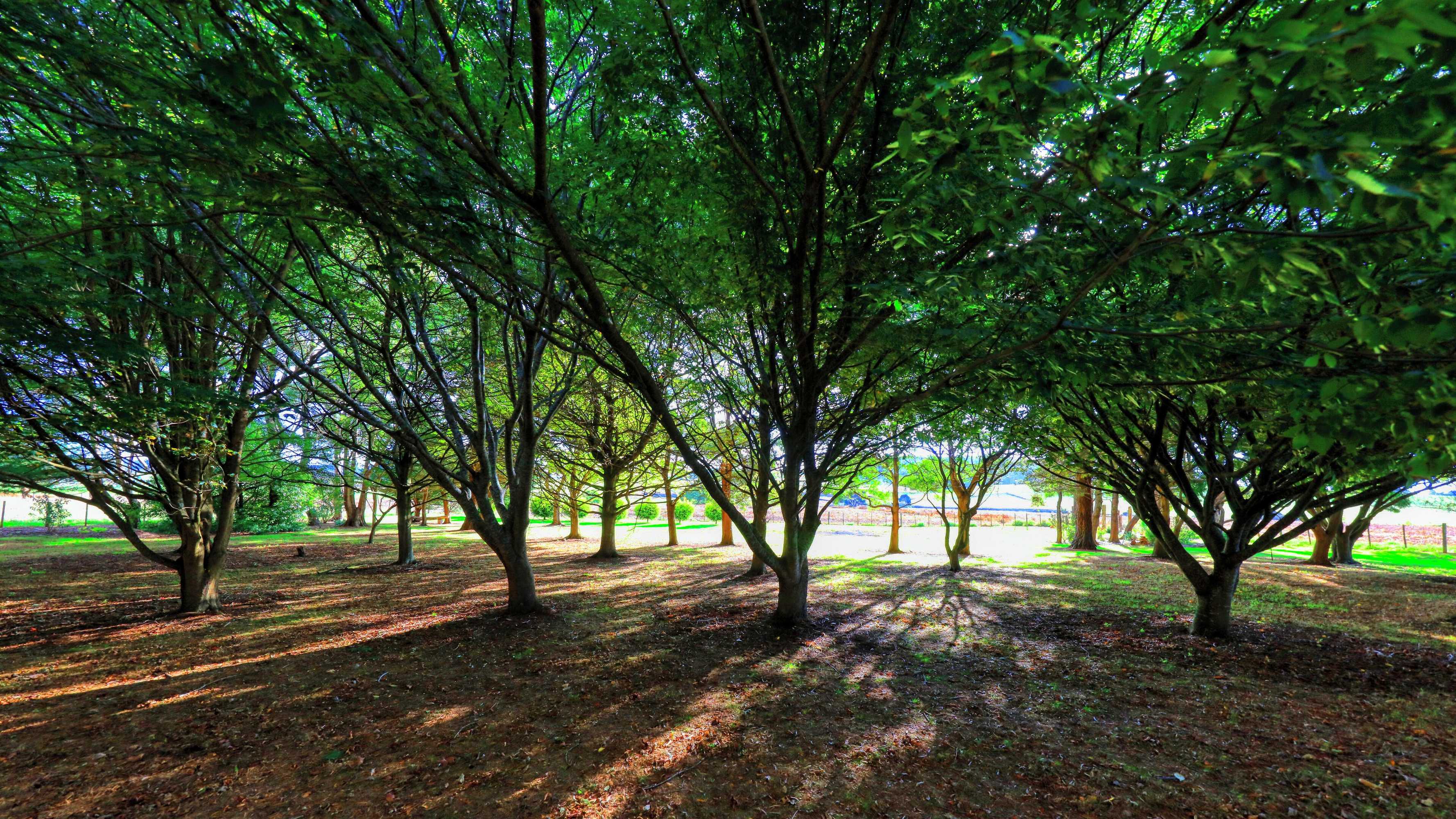 Gift card for Boat Harbour Garden Cottages