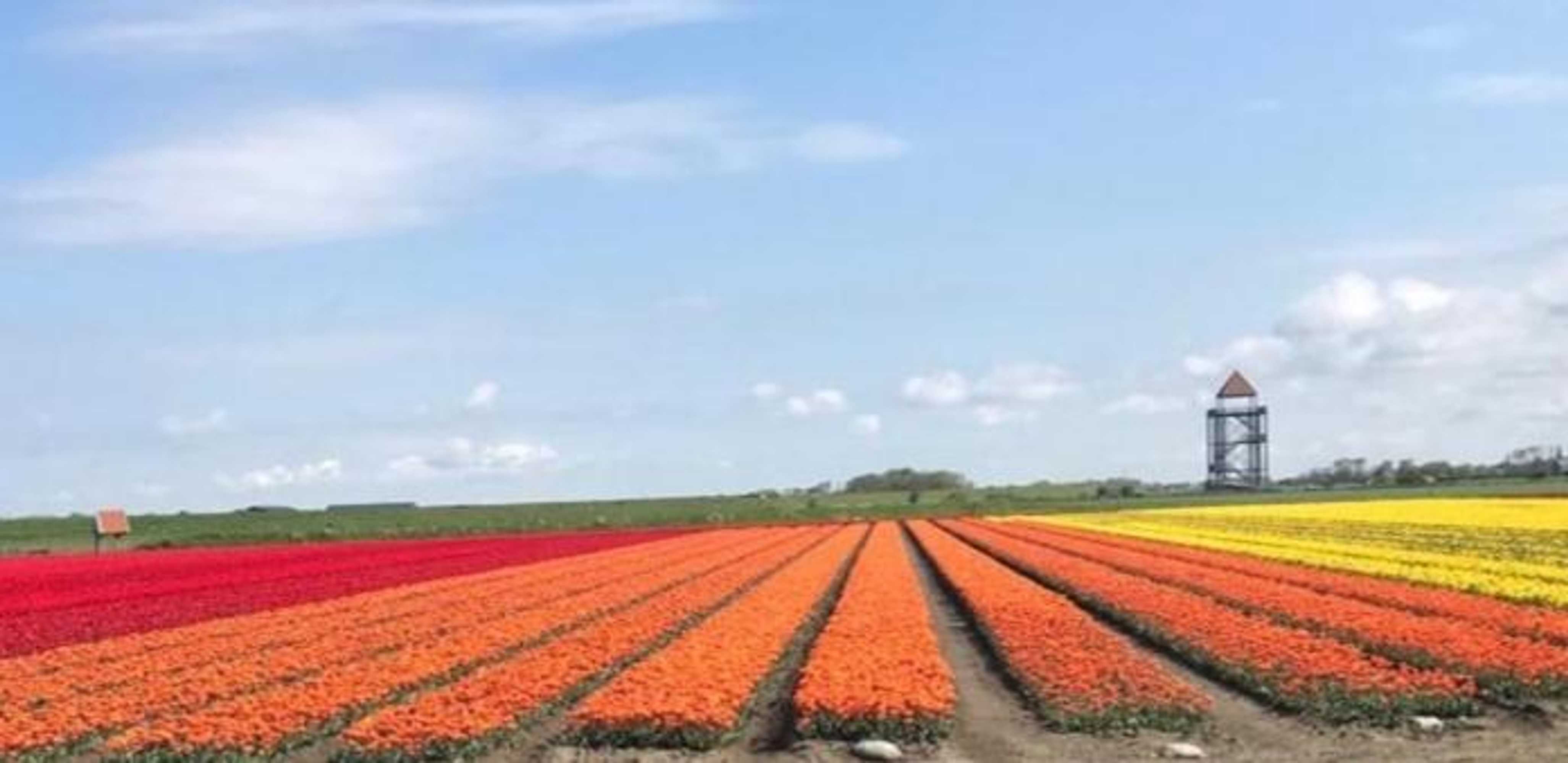 Gift card for ''op Stok