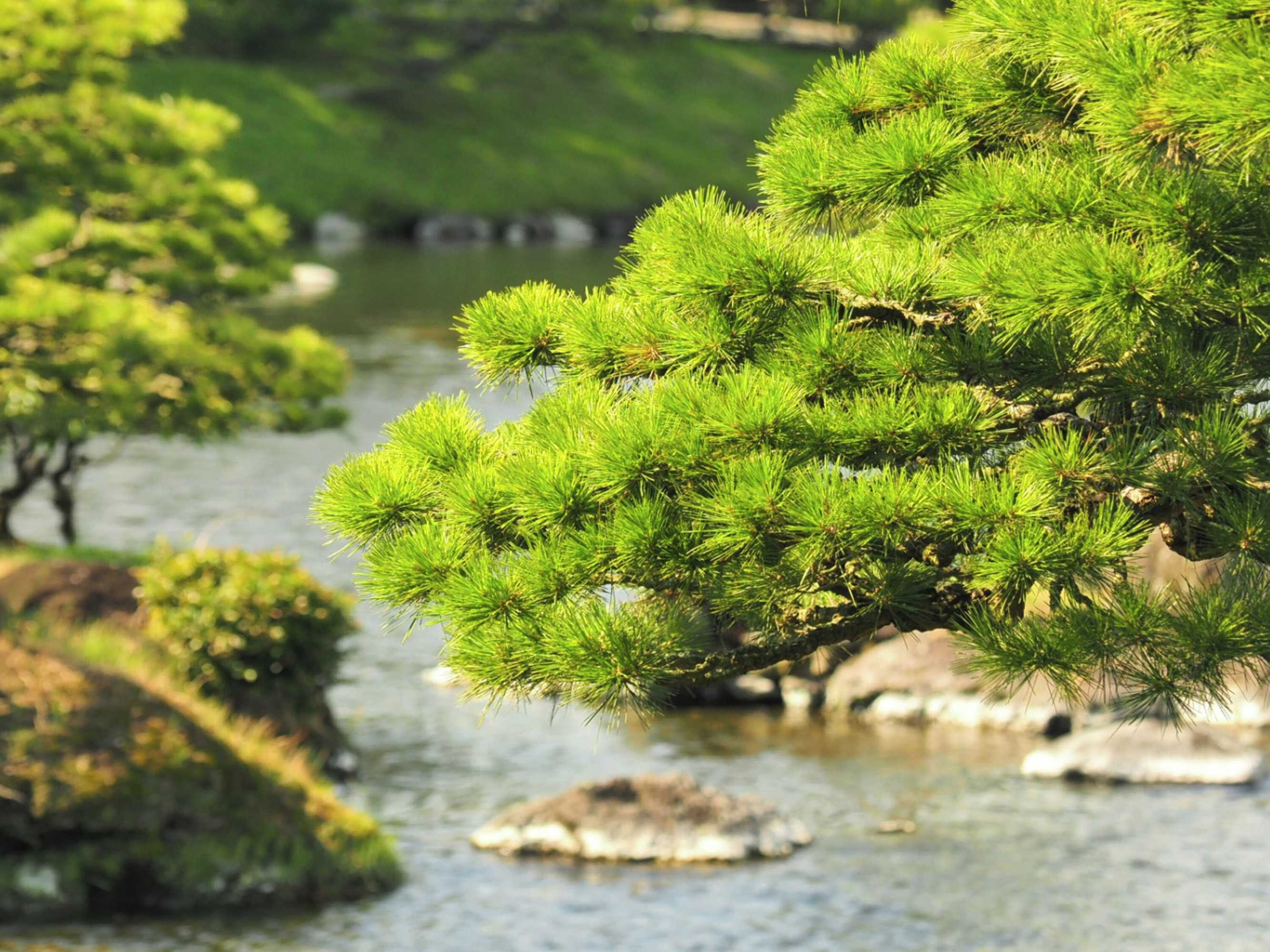 Gift card for Toyoko Inn Kumamoto Shin Shigai Gift card for Toyoko Inn Kumamoto Shin Shigai