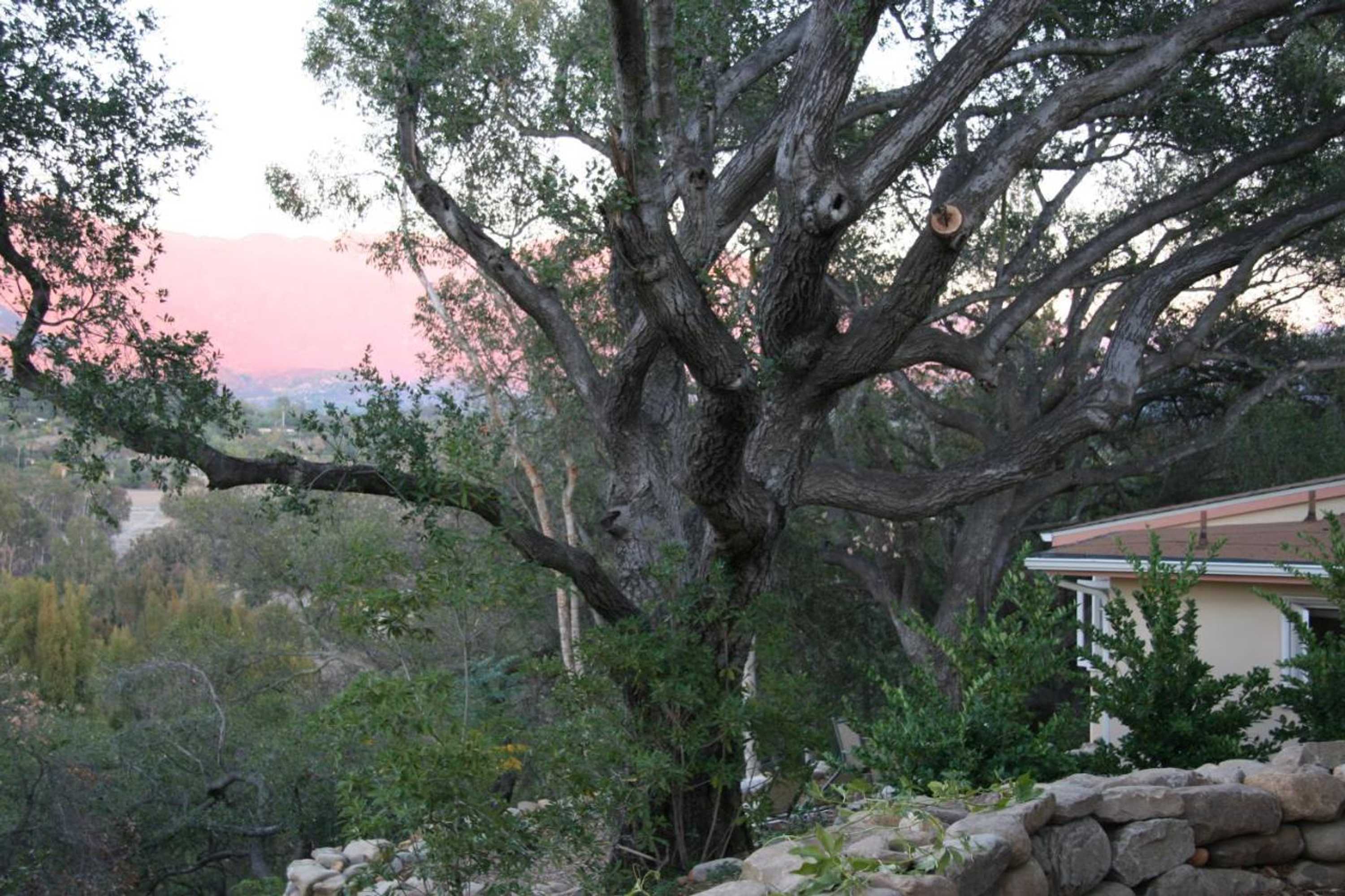 Gift card for Ojai Retreat & Inn