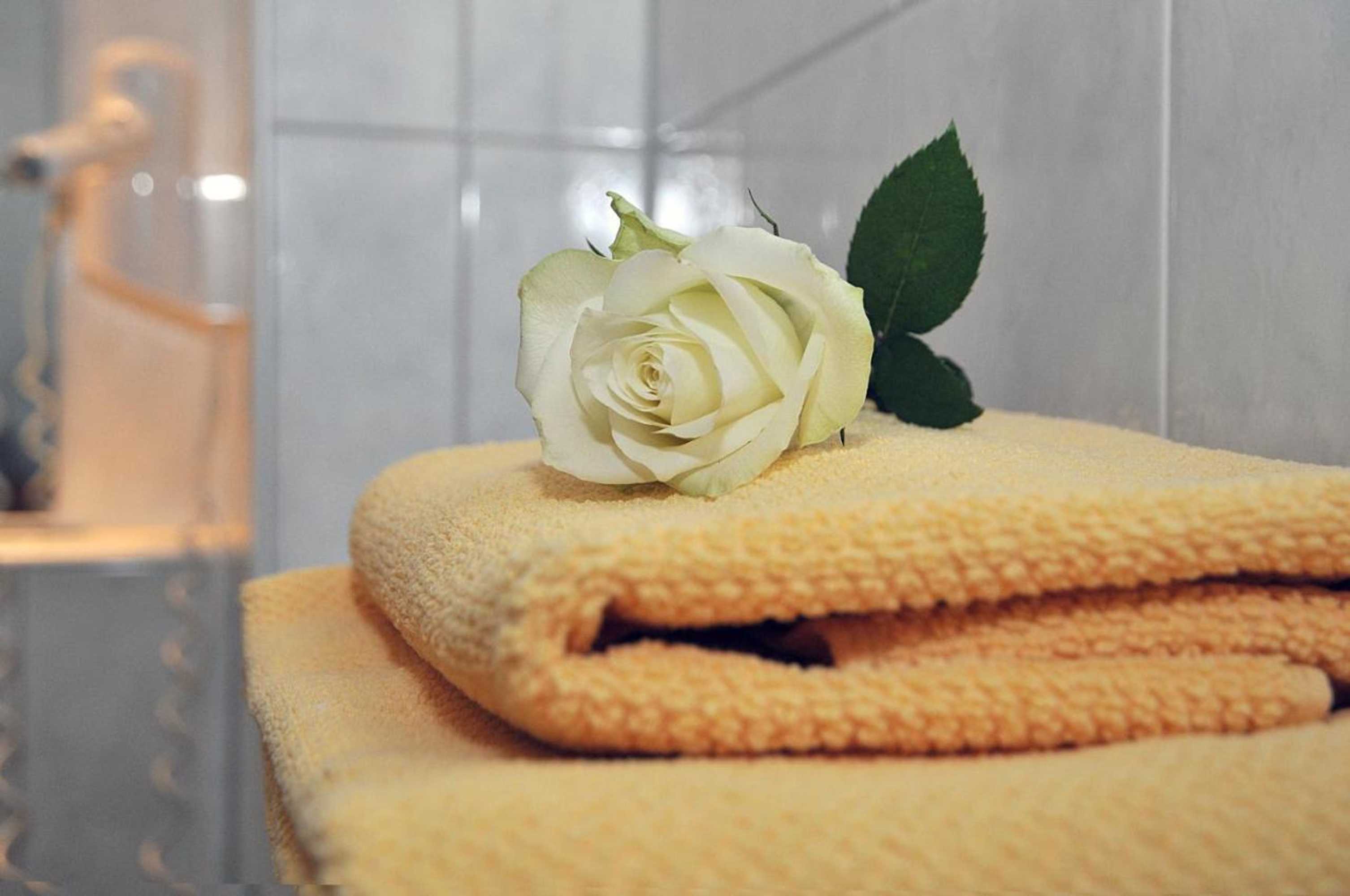 Gift card for Hotel Friesen