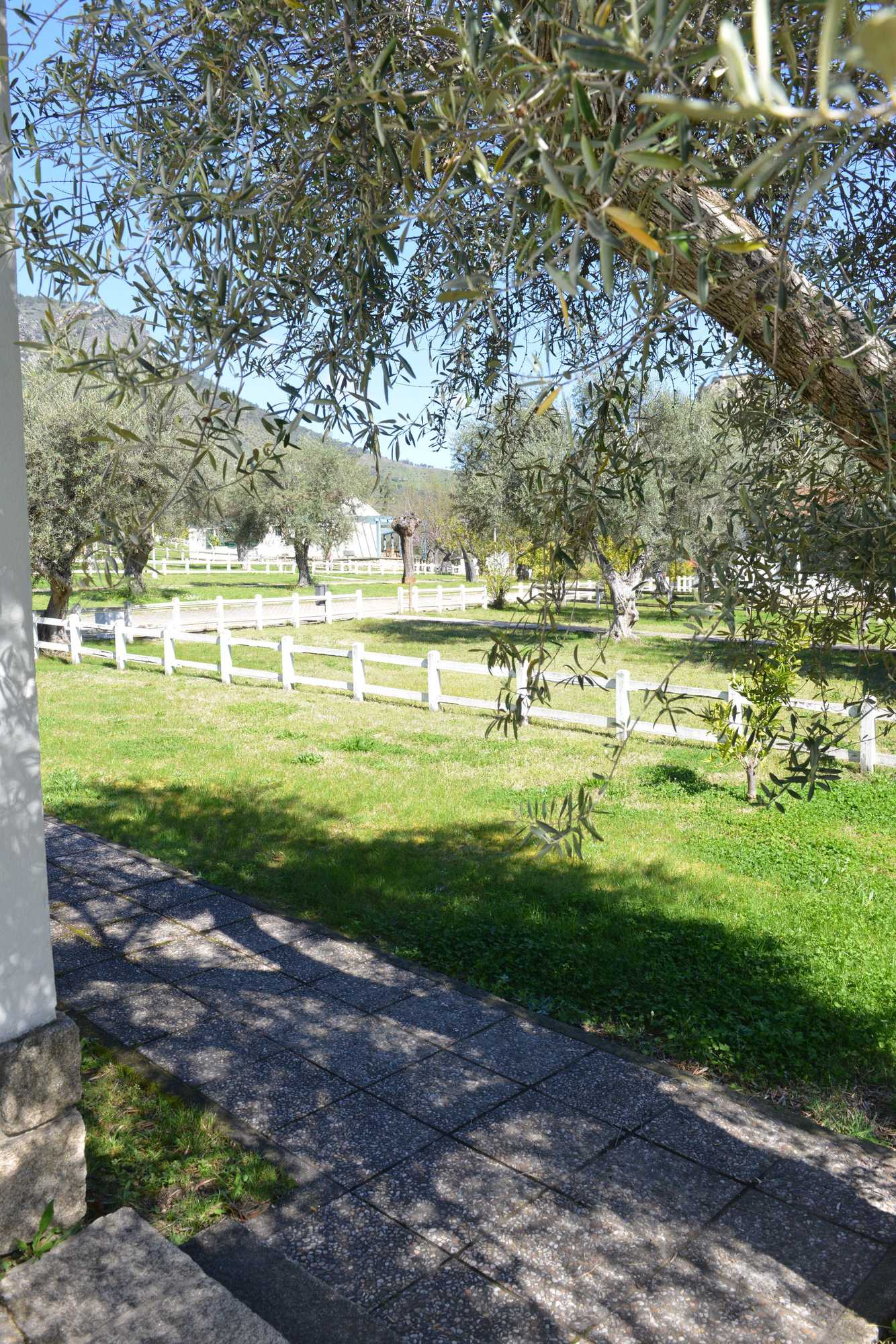 Gift card for Casas Rurales Aldeaduero