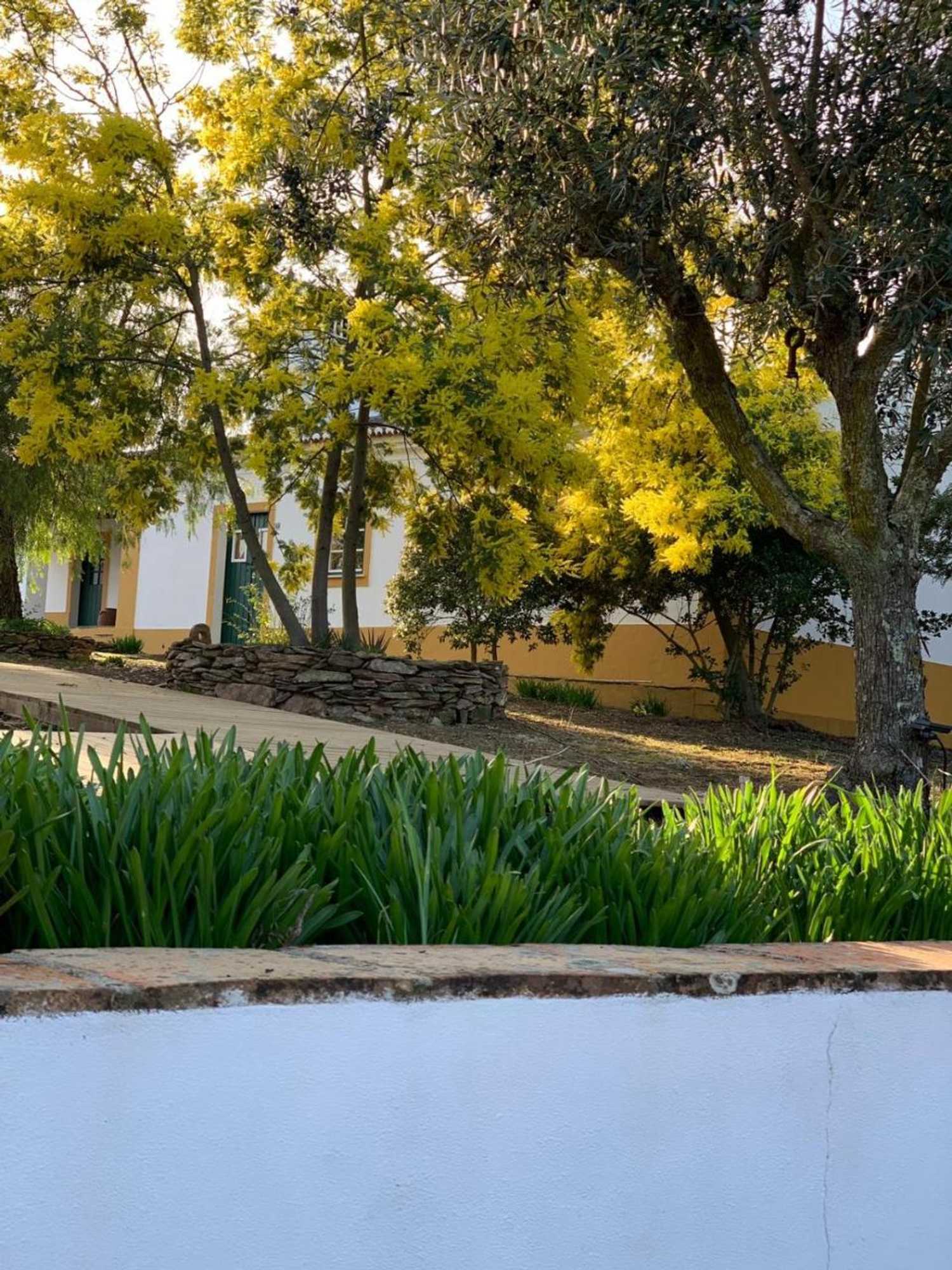 Gift card for Monte Papa Toucinho