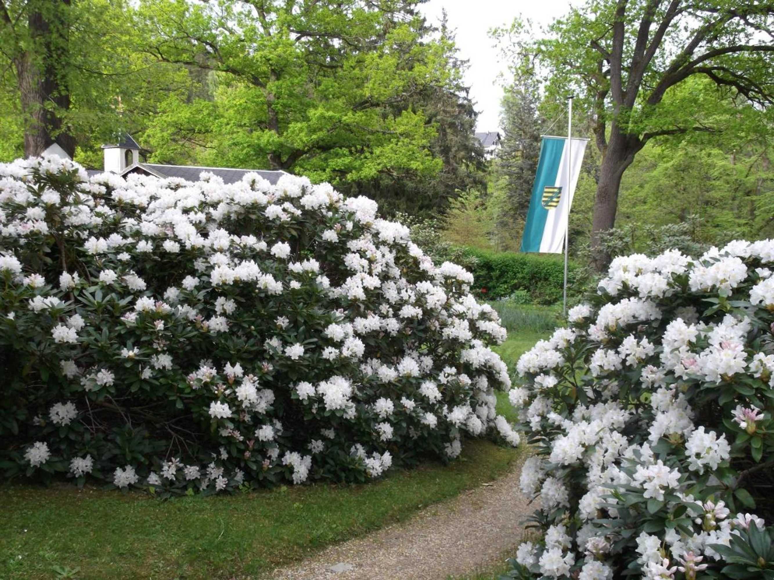 Gift card for Kurheim Haus Linde