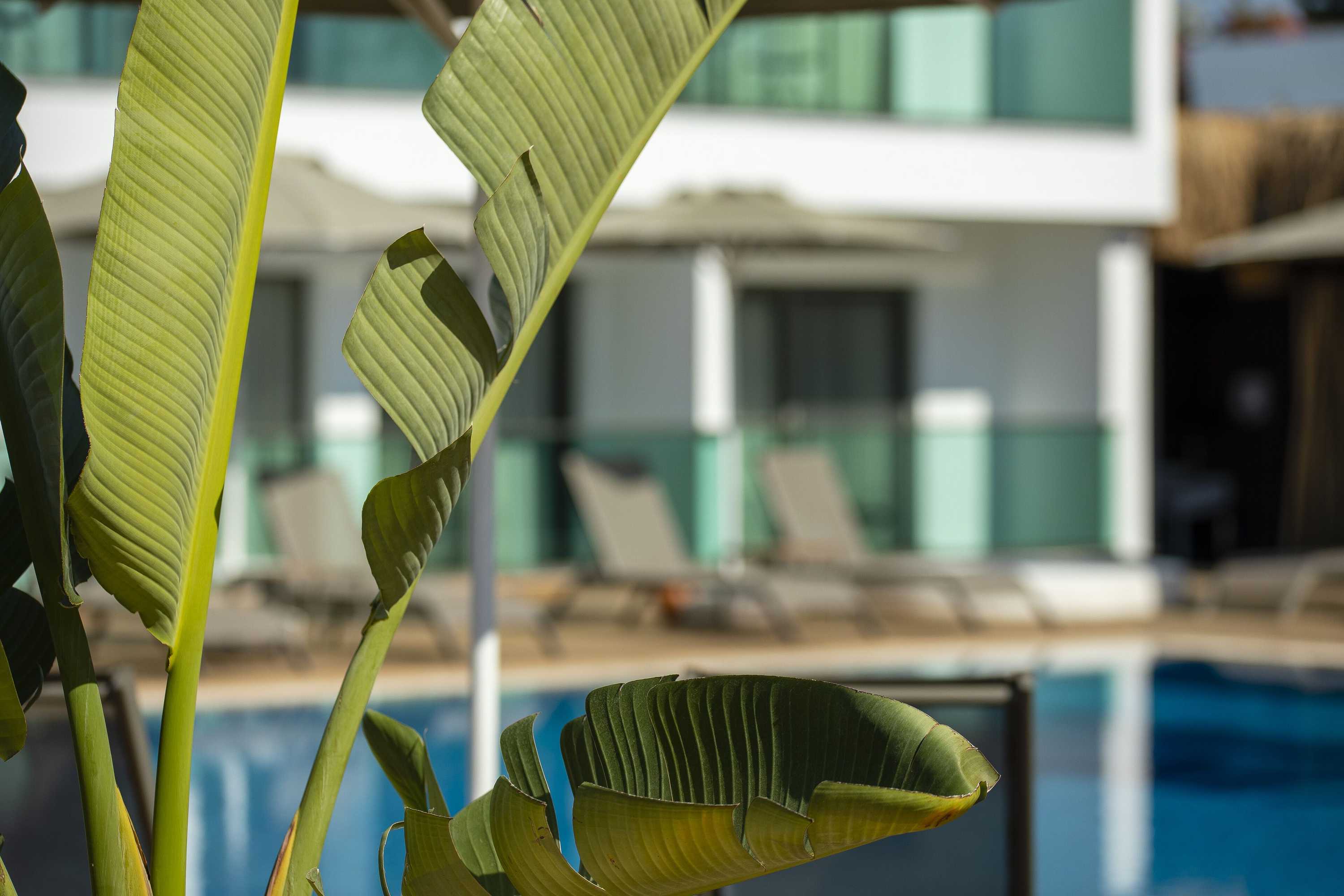 Gift card for Yalıpark Beach Hotel