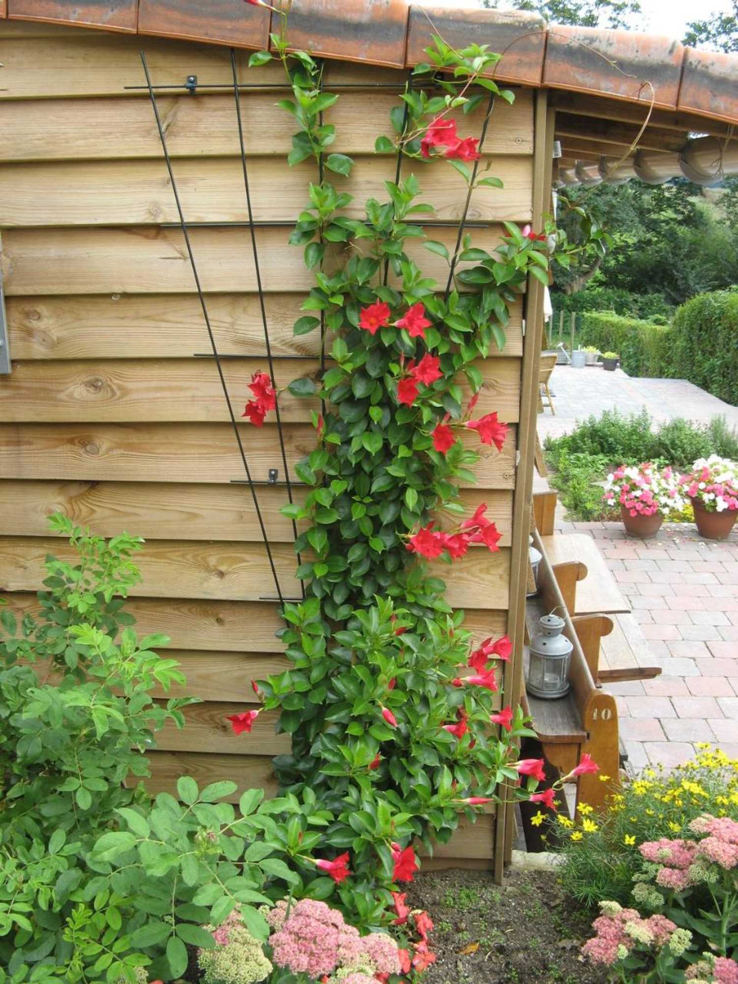 Gift card for Hotel De Wilde Kriek - Before De Karsteboom