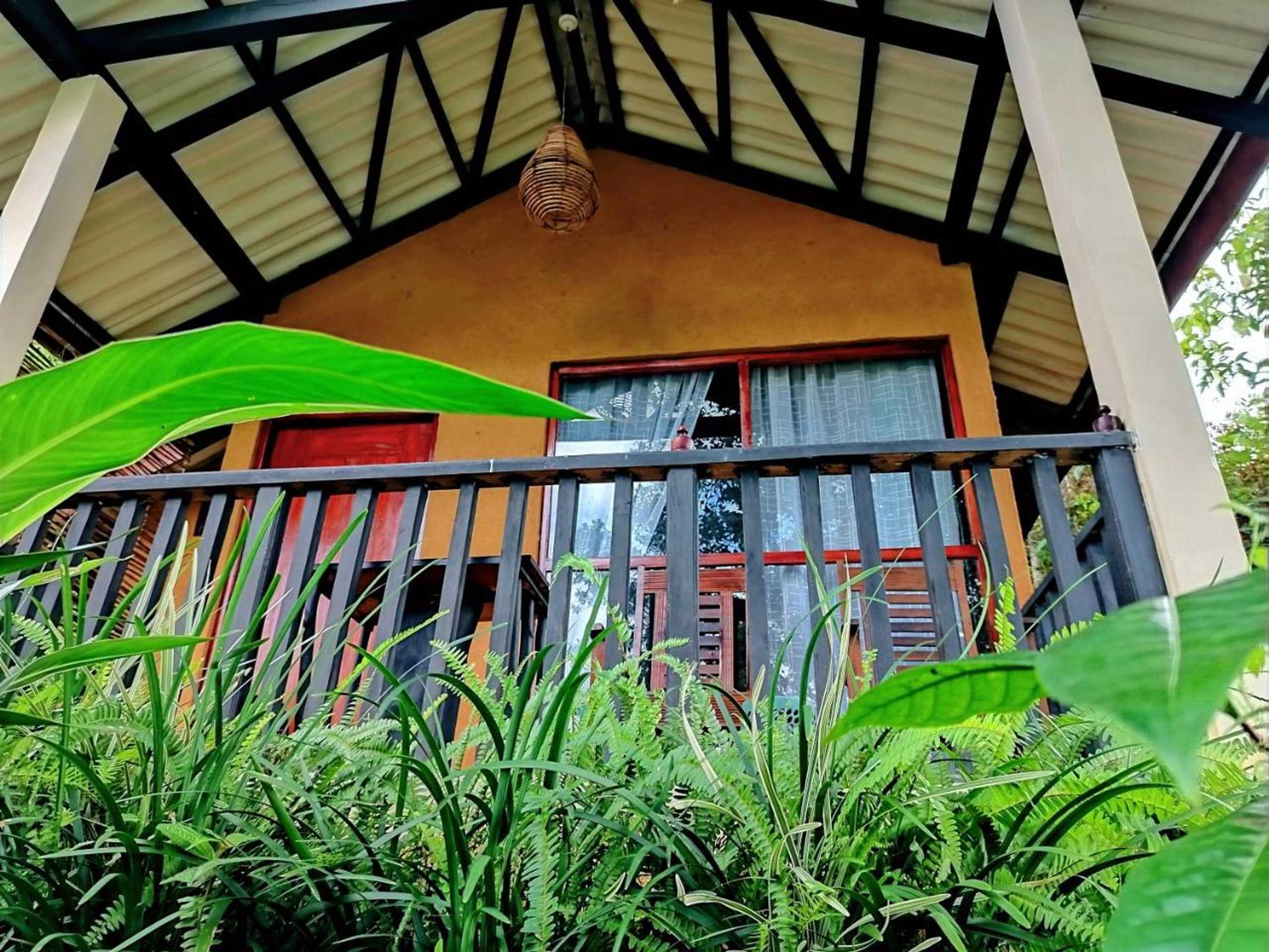 Gift card for Rainforest Nature House