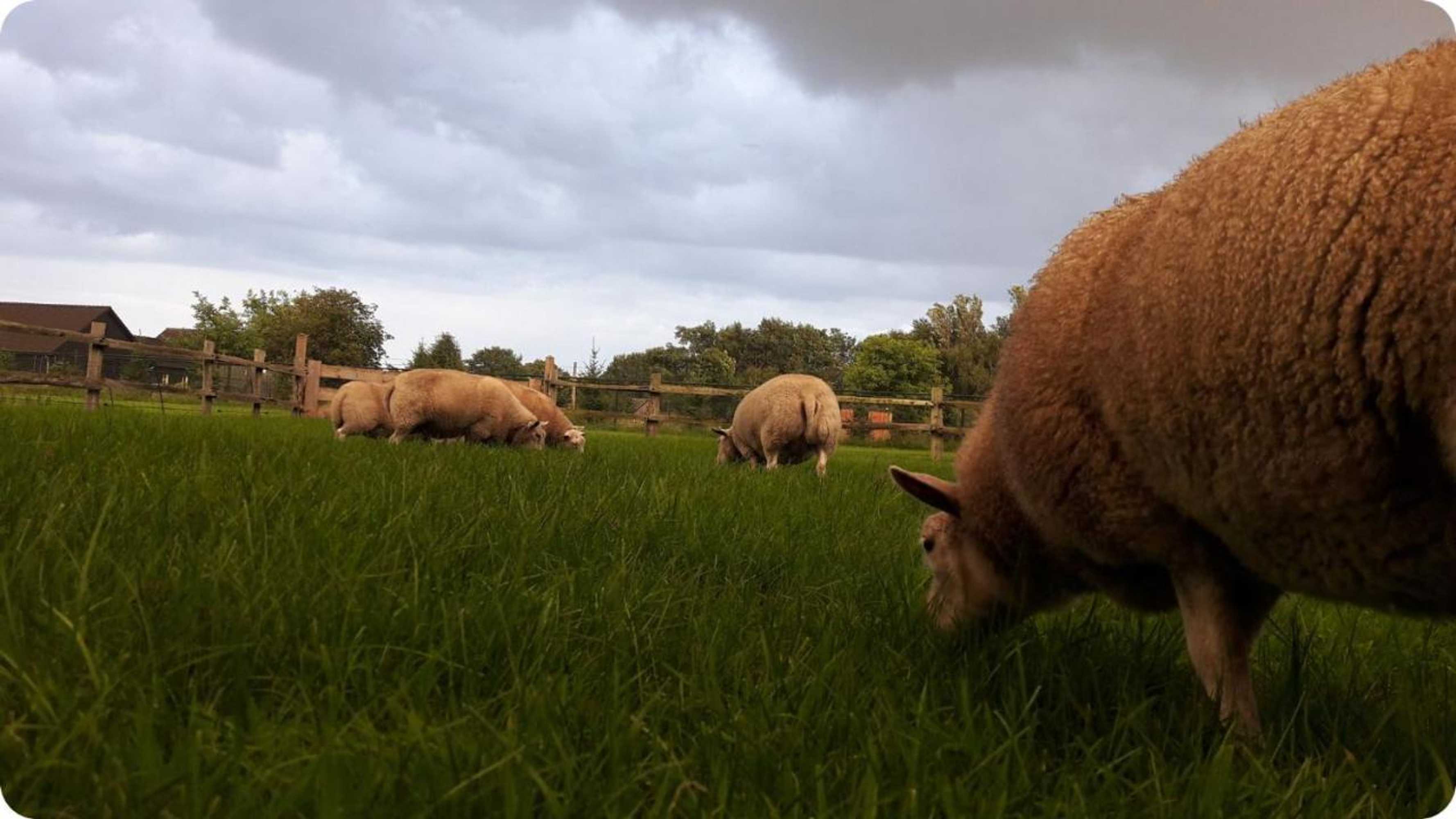 Gift card for Het Geheim Van Merselo