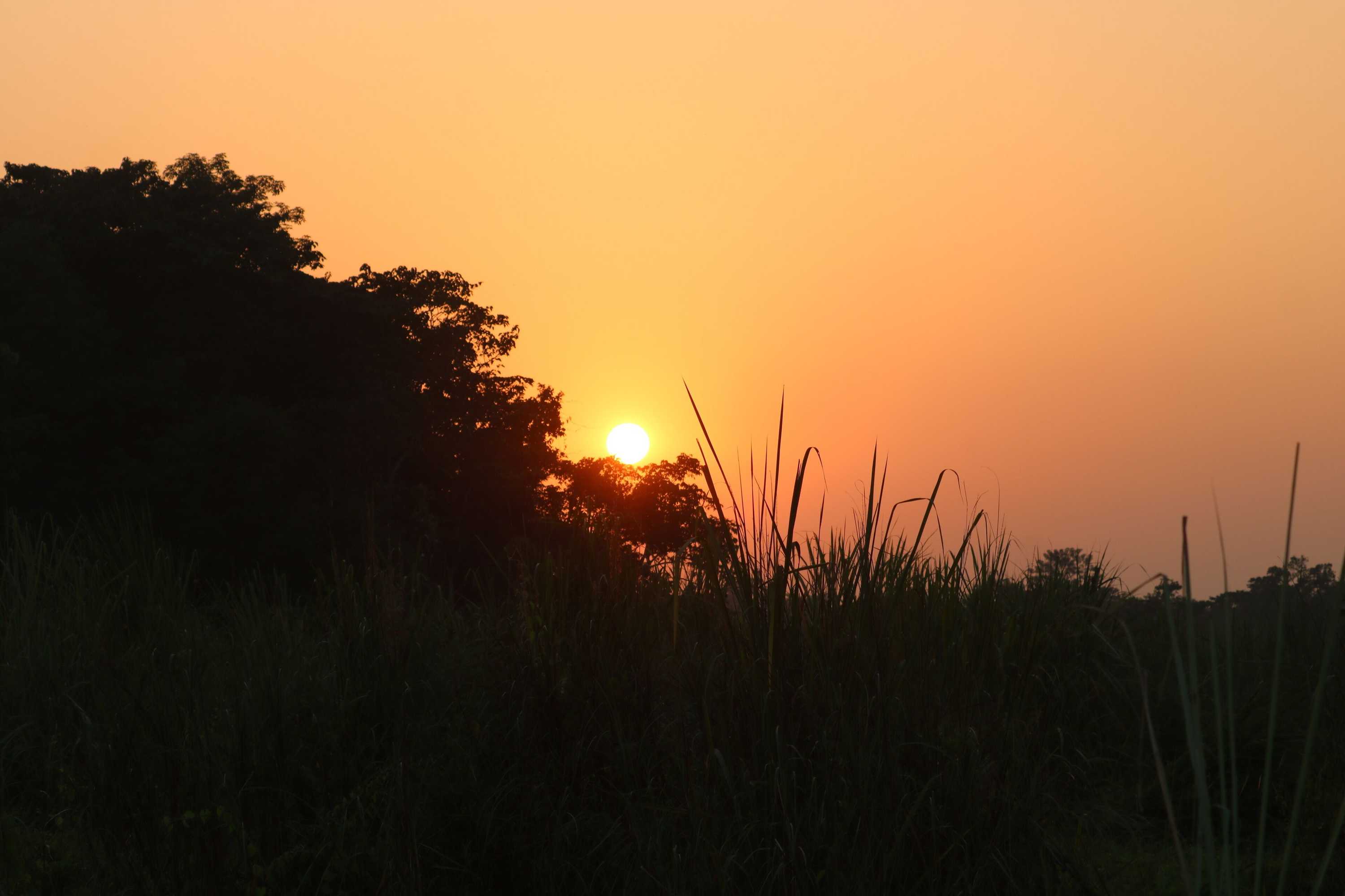 Gift card for Hotel National Park Sauraha- Homely Stay And Peaceful Location With Jungle Safari Arrangements Gift card for Hotel National Park Sauraha- Homely Stay And Peaceful Location With Jungle Safari Arrangements