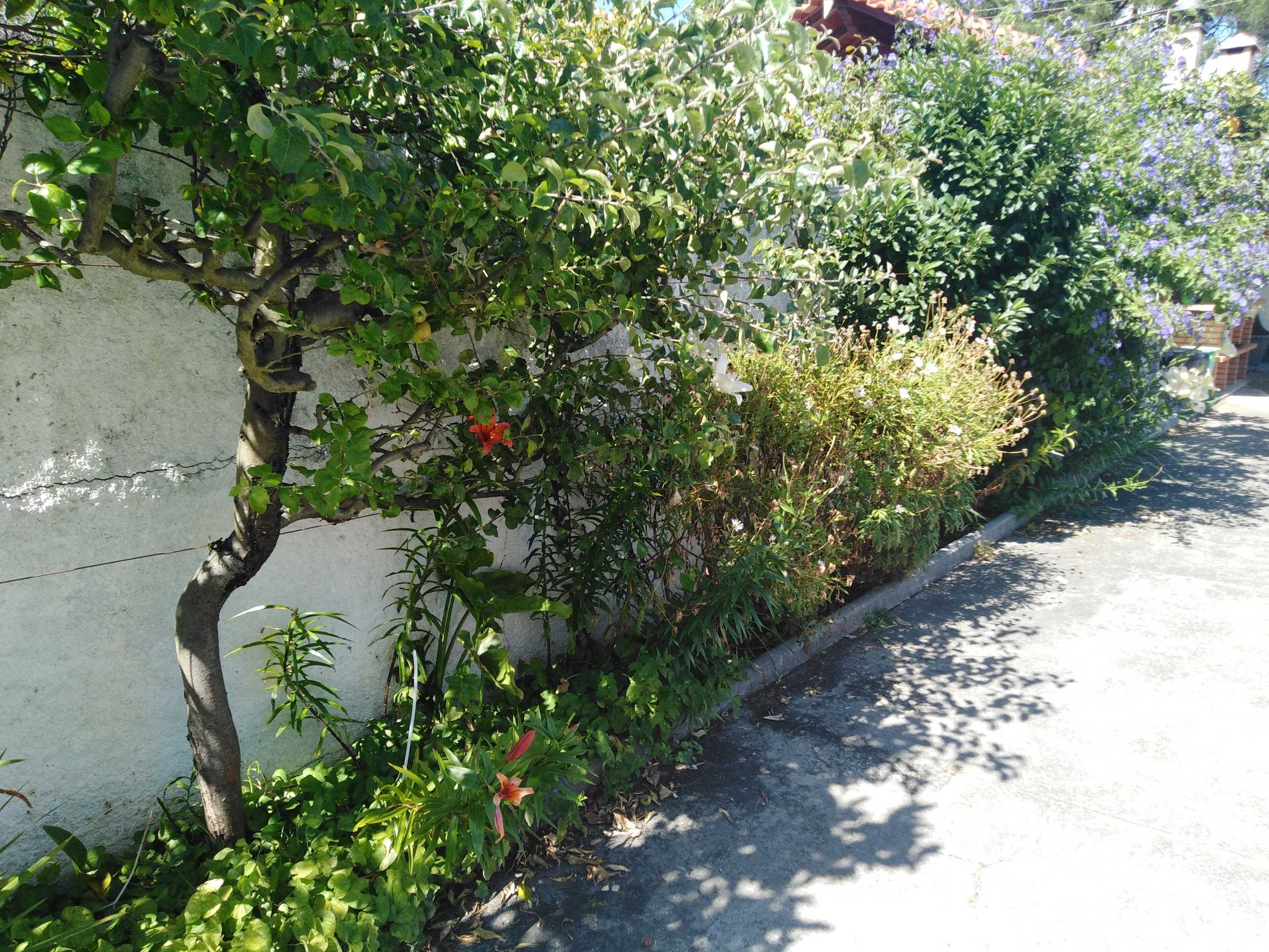 Gift card for Cabedelo Seaside