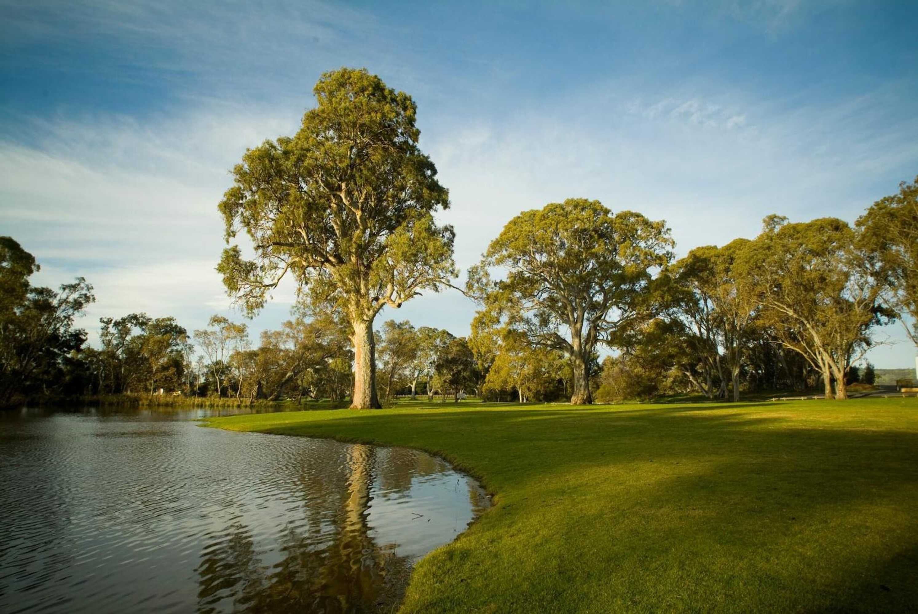 Gift card for Serafino Mclaren Vale Gift card for Serafino Mclaren Vale
