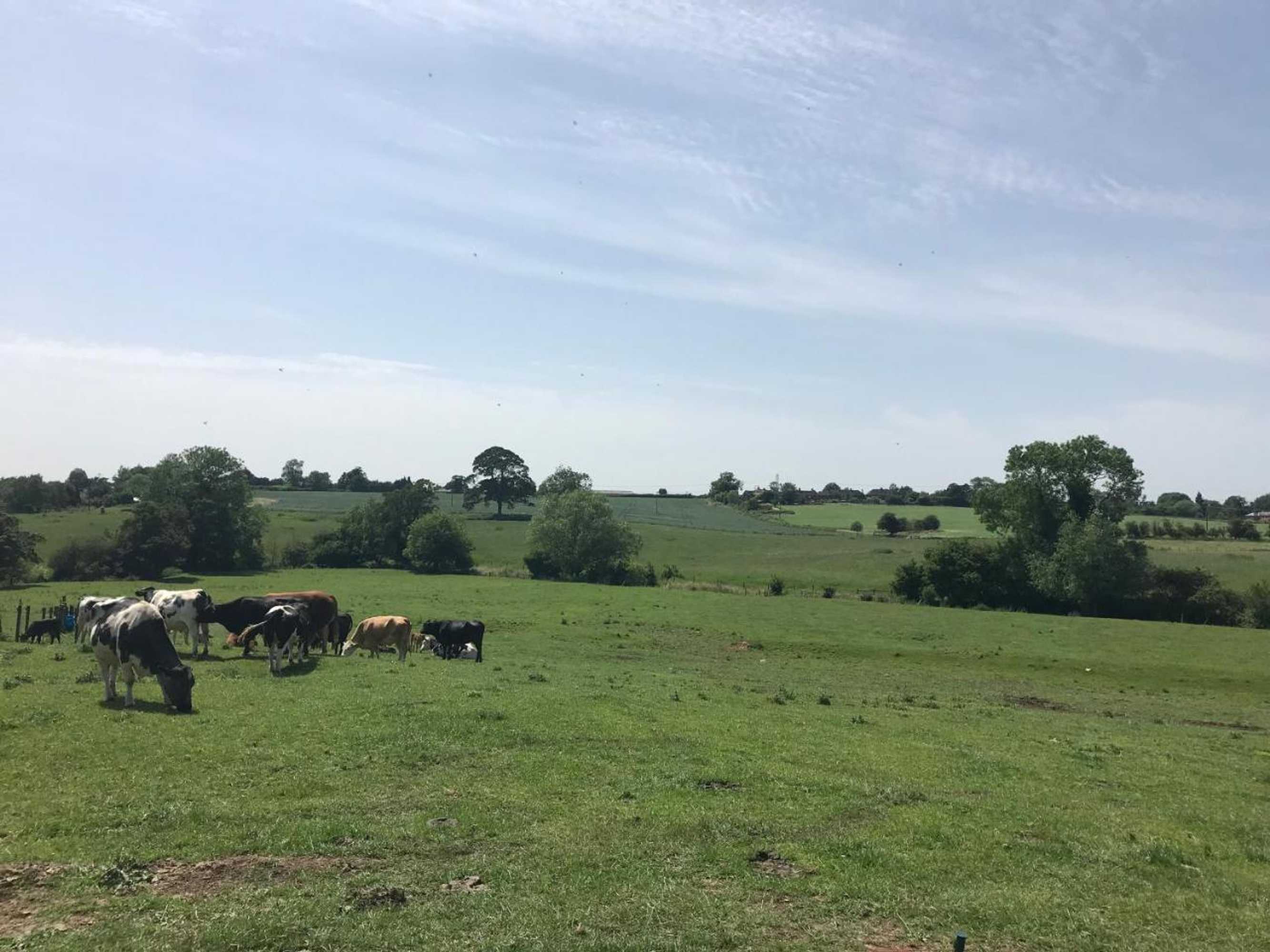 Gift card for Weatherhead Farm