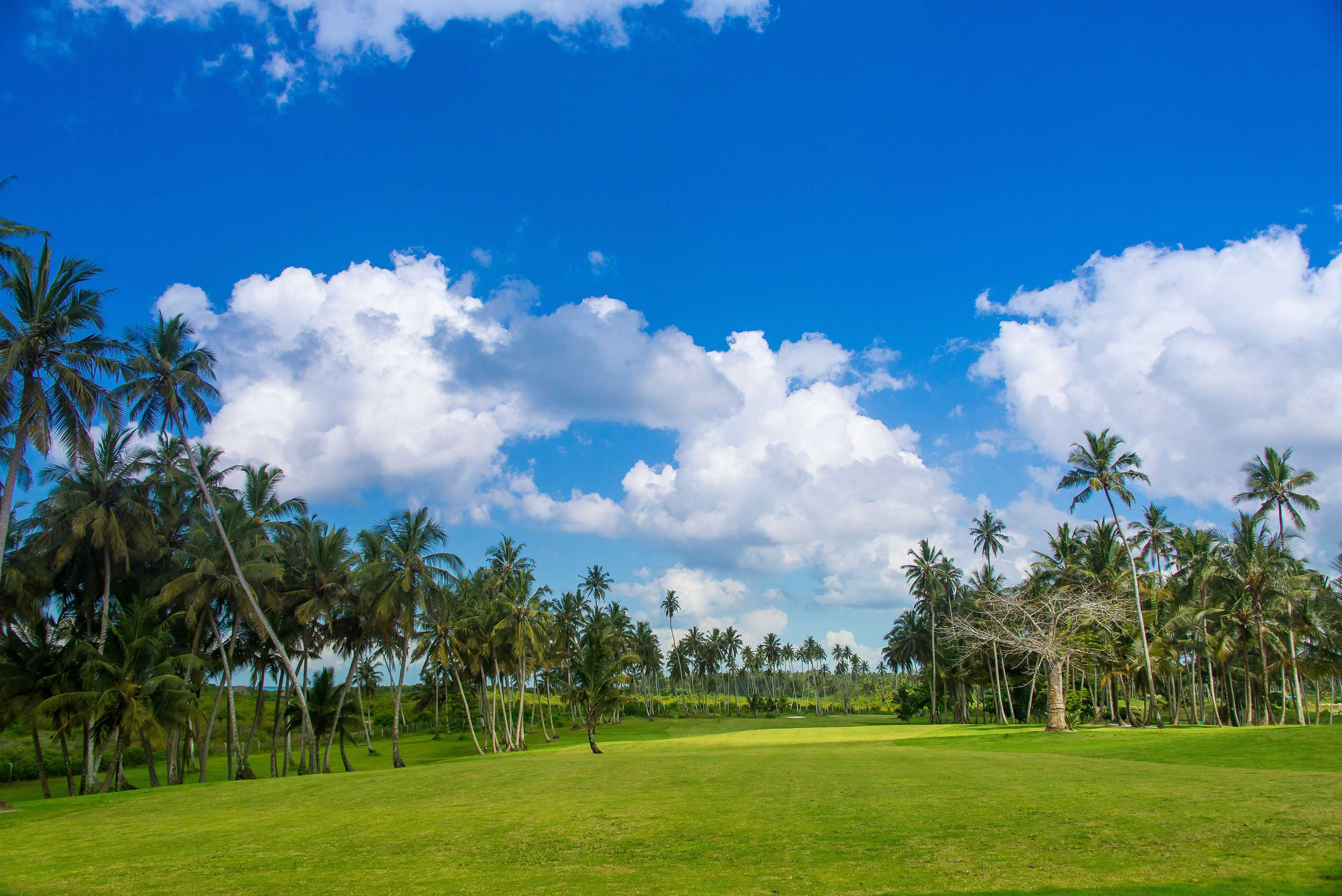 Gift card for Sea Cliff Resort & Spa Gift card for Sea Cliff Resort & Spa