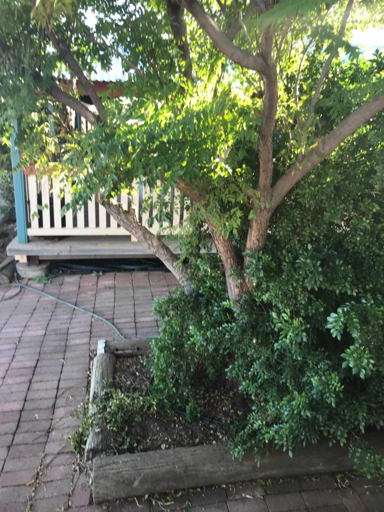 Gift card for Stork RD Budget Rooms - Private Rooms With Shared Bathrooms Access to Pool Gift card for Stork RD Budget Rooms - Private Rooms With Shared Bathrooms Access to Pool