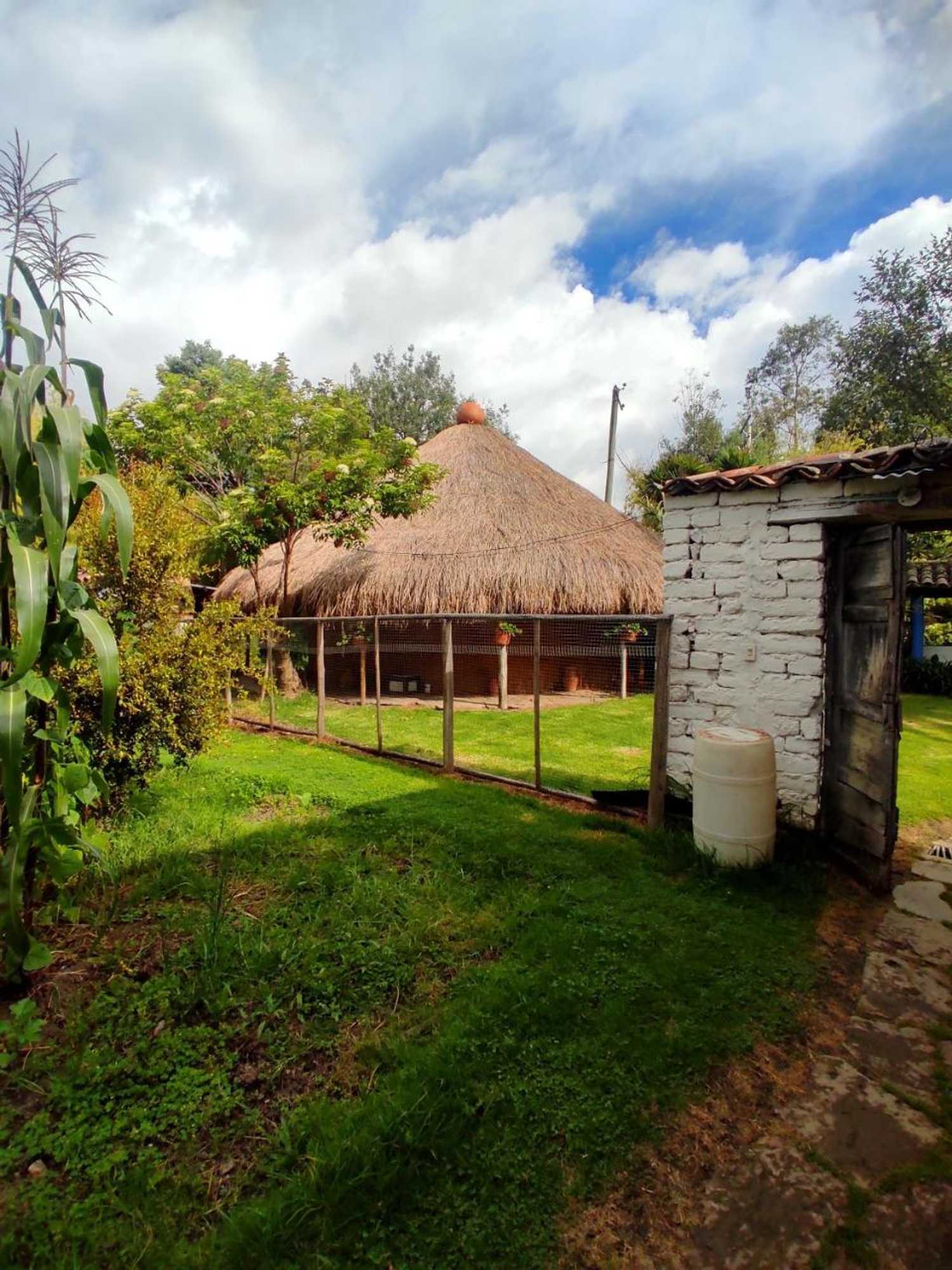 Gift card for Finca San Pedro -Alojamiento Campestre y Reserva Natural-