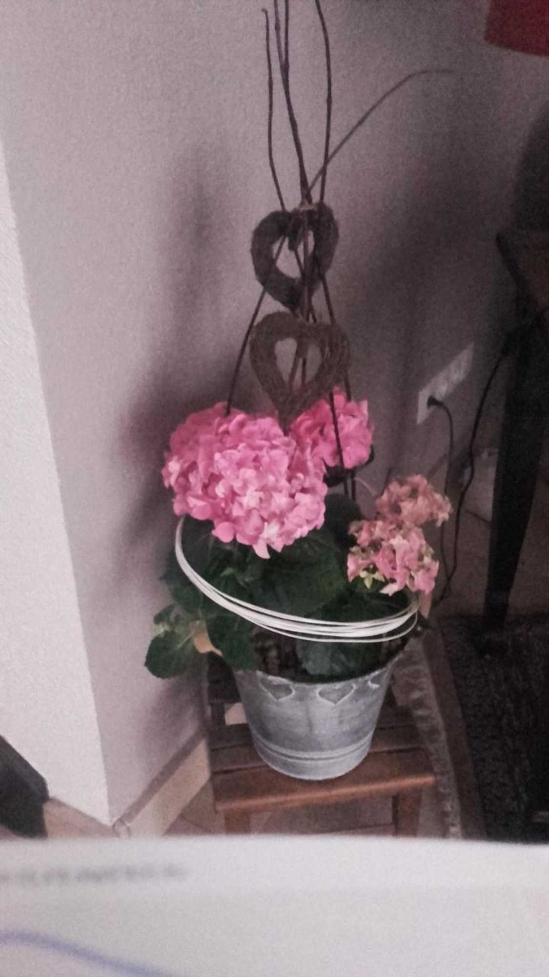 Gift card for L'etoile De La Citadelle