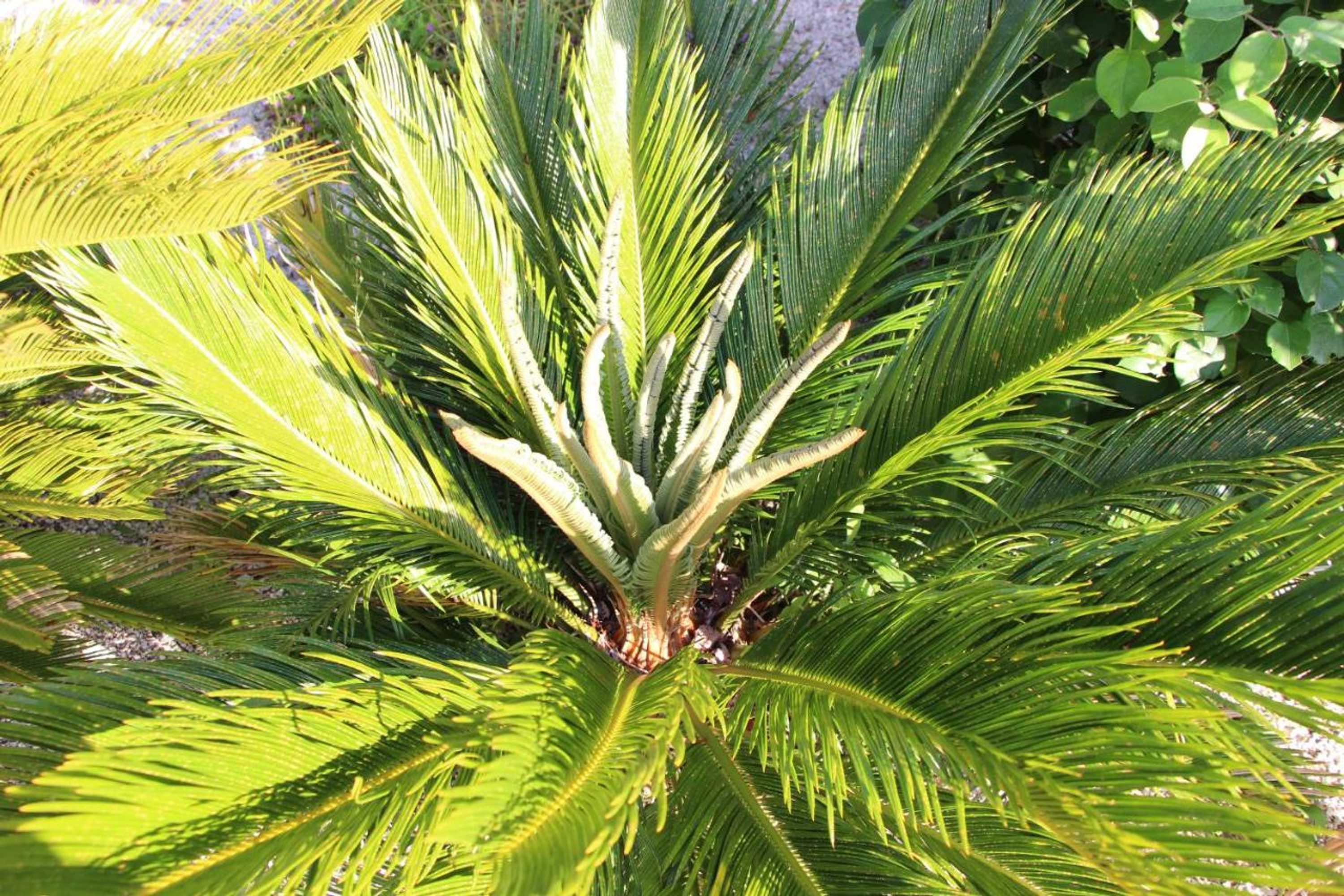 Gift card for Casa o Futuro