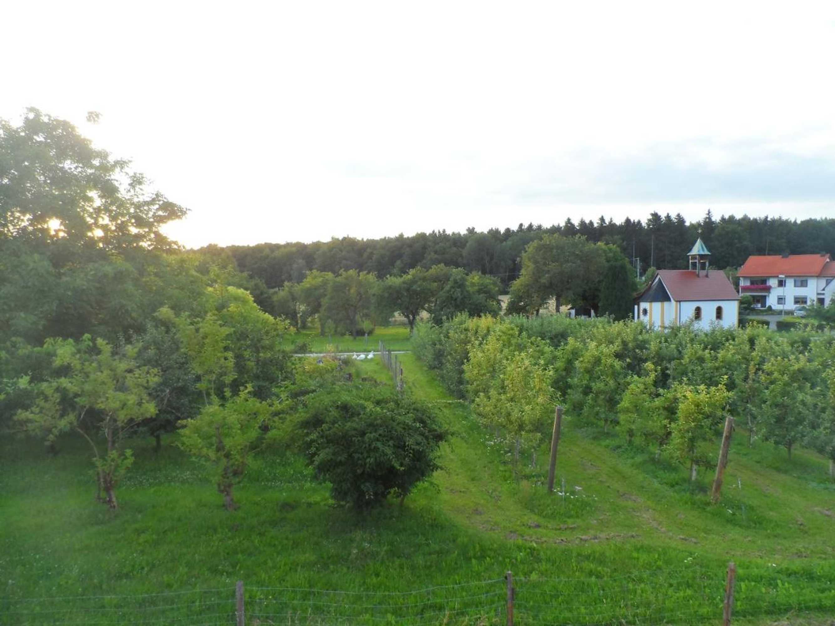 Gift card for Pension am Kirschgarten